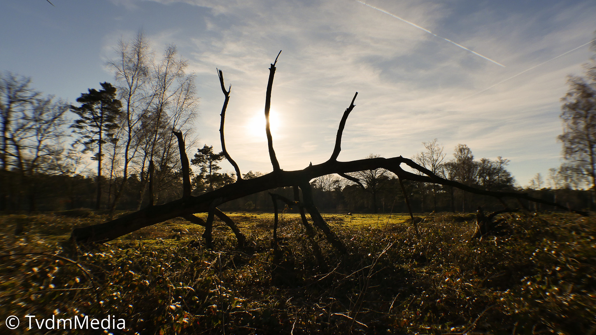 Panasonic Lumix DMC-GH4 sample photo. Nature art photography