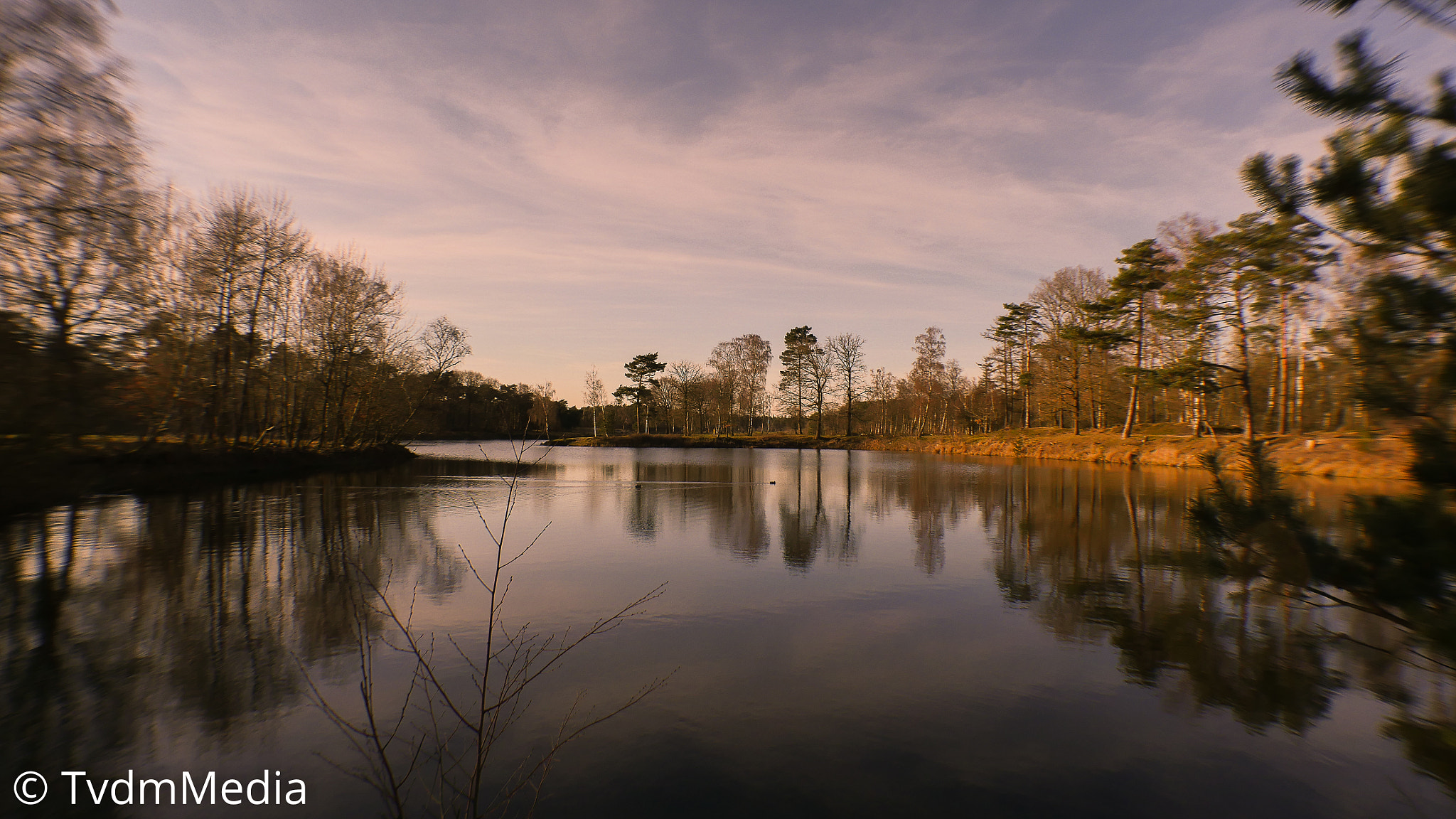Panasonic Lumix DMC-GH4 sample photo. Ven boswachterij dorst photography
