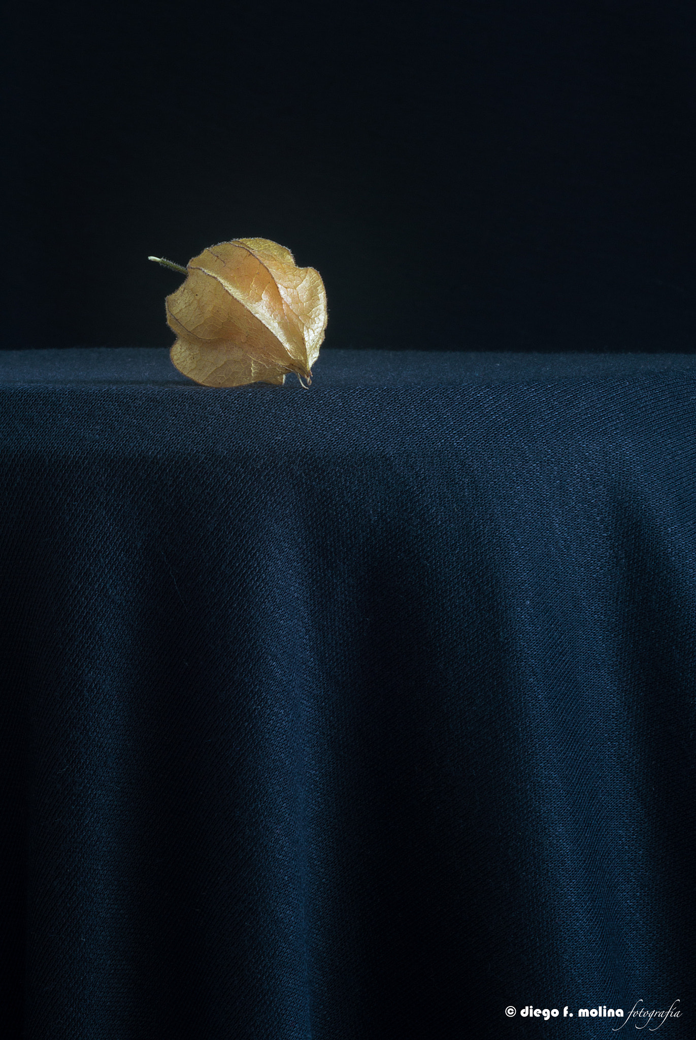 Nikon D3200 + AF Nikkor 50mm f/1.8 sample photo. Aguaymanto photography
