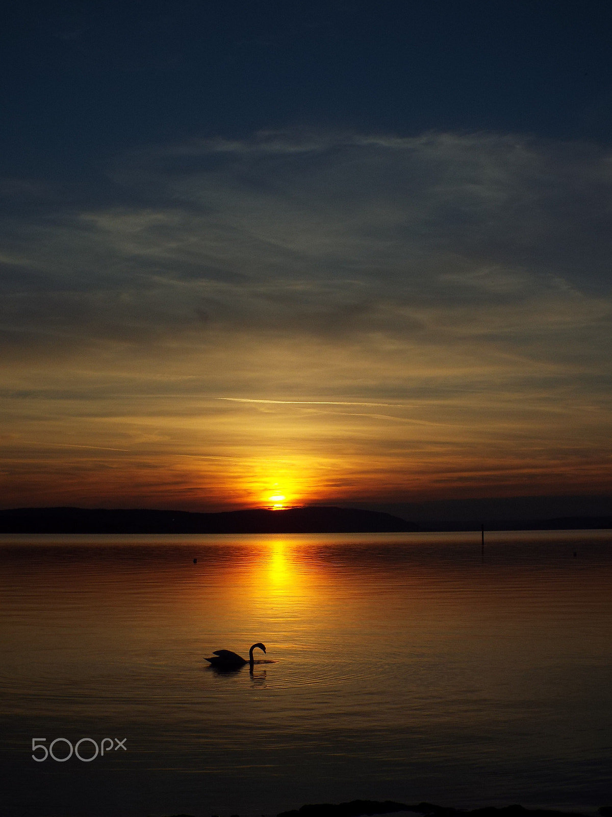 Fujifilm FinePix S8400W sample photo. Sunset with pretty swan photography