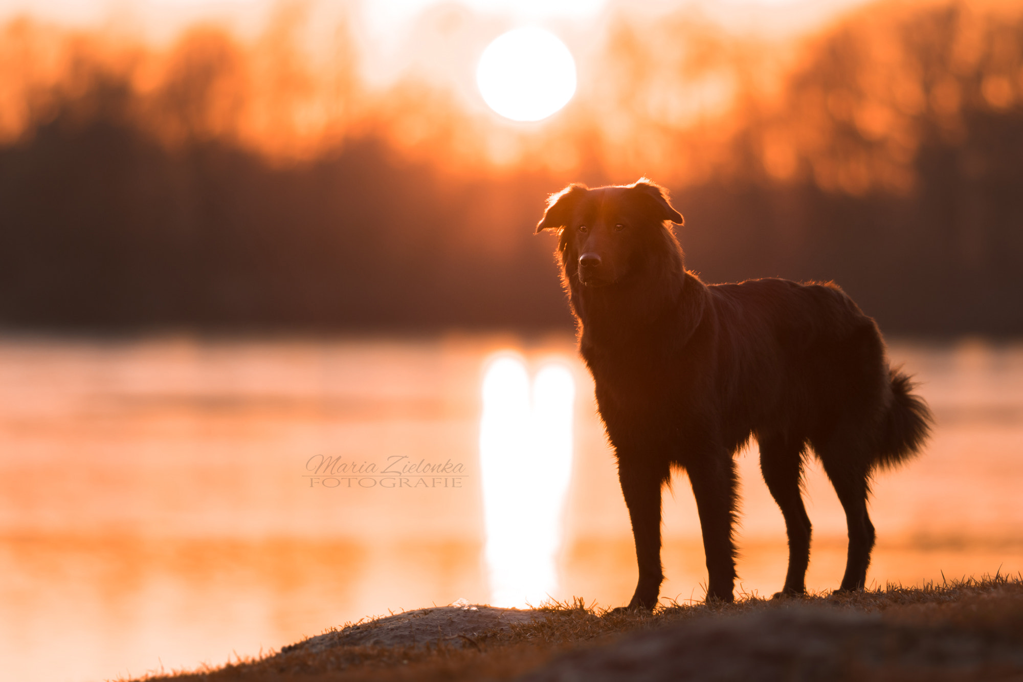 Canon EOS 7D Mark II + Canon EF 135mm F2L USM sample photo. Mila photography