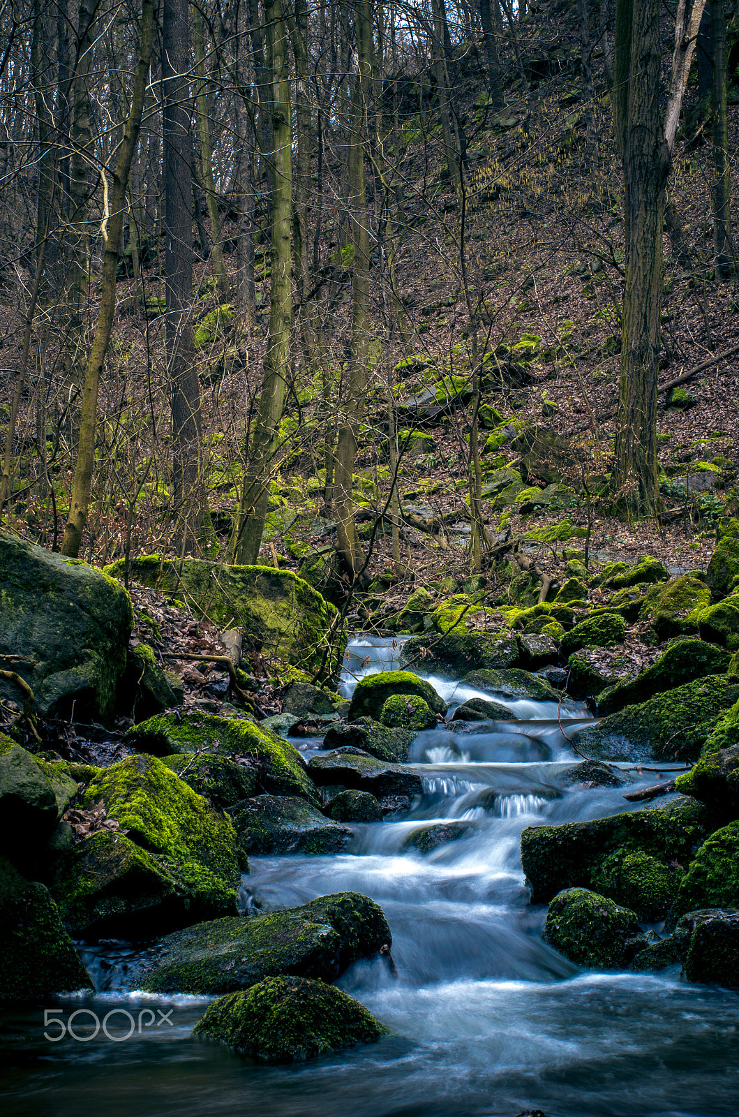 Pentax K-5 II + Pentax smc FA 50mm F1.4 sample photo. The path ii. photography