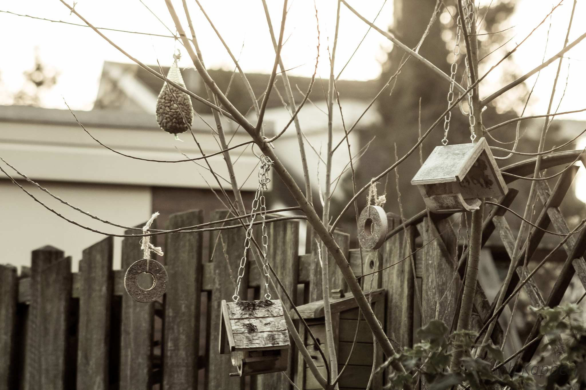 Canon EF 100-300mm F4.5-5.6 USM sample photo. Waiting for guests. photography