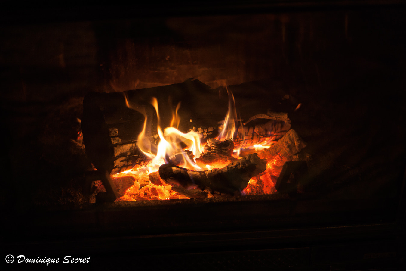 Canon EF 50mm f/1.8 sample photo. Fire is the creator and destroyer. photography
