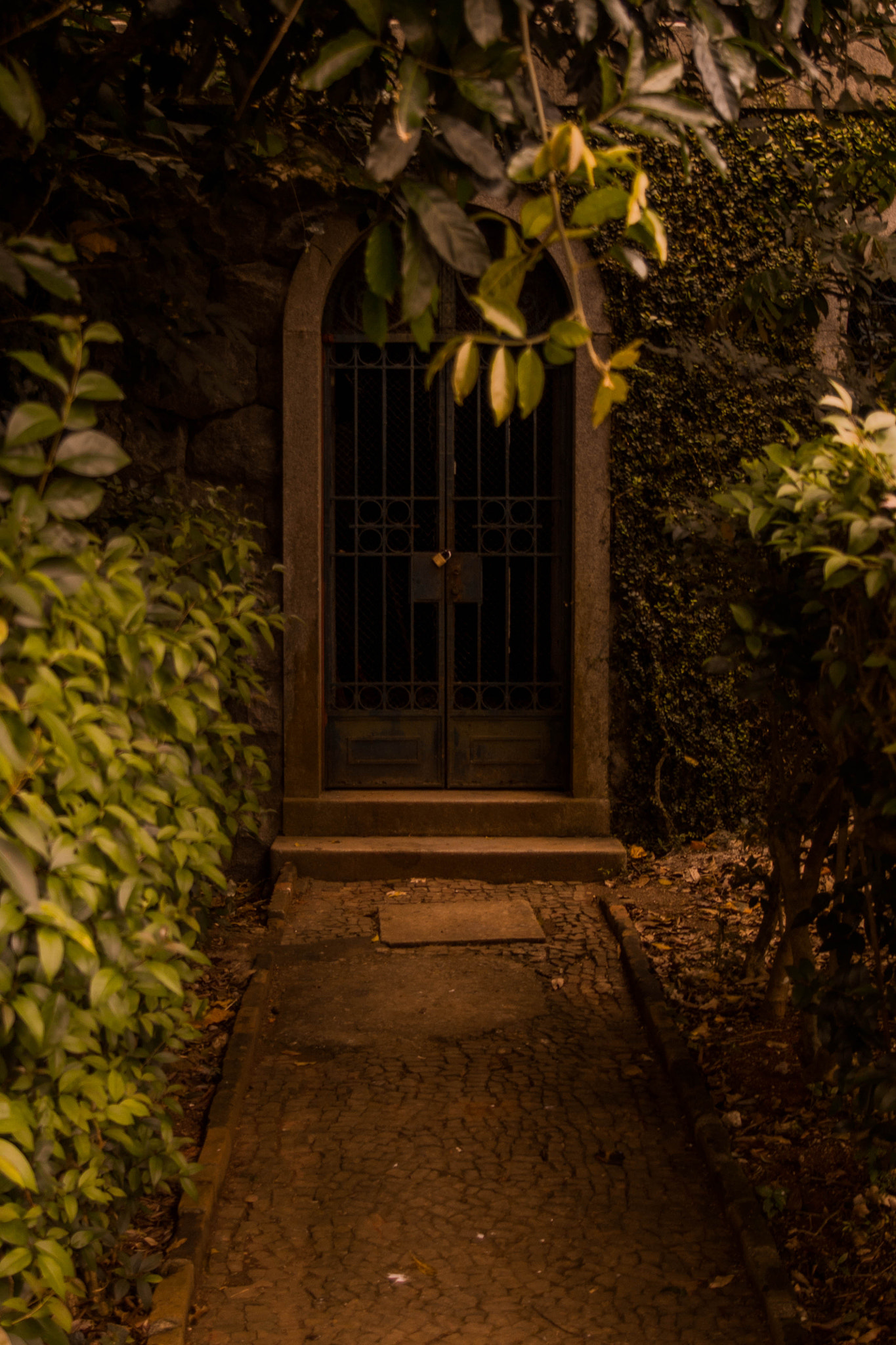 Sigma 28-80mm f/3.5-5.6 II Macro sample photo. Portal photography