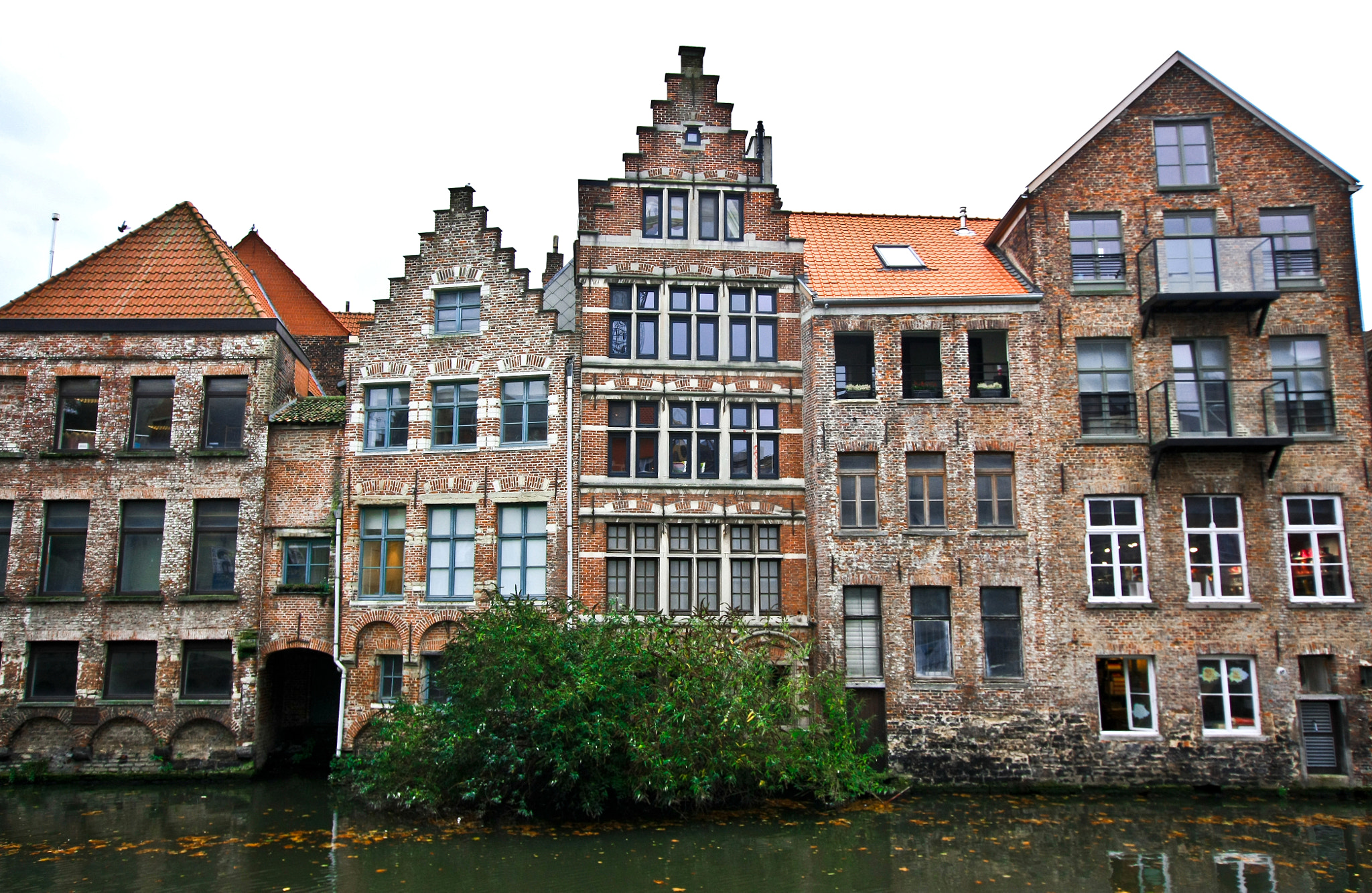 Sigma 10-20mm F3.5 EX DC HSM sample photo. Houses on the water in gent photography