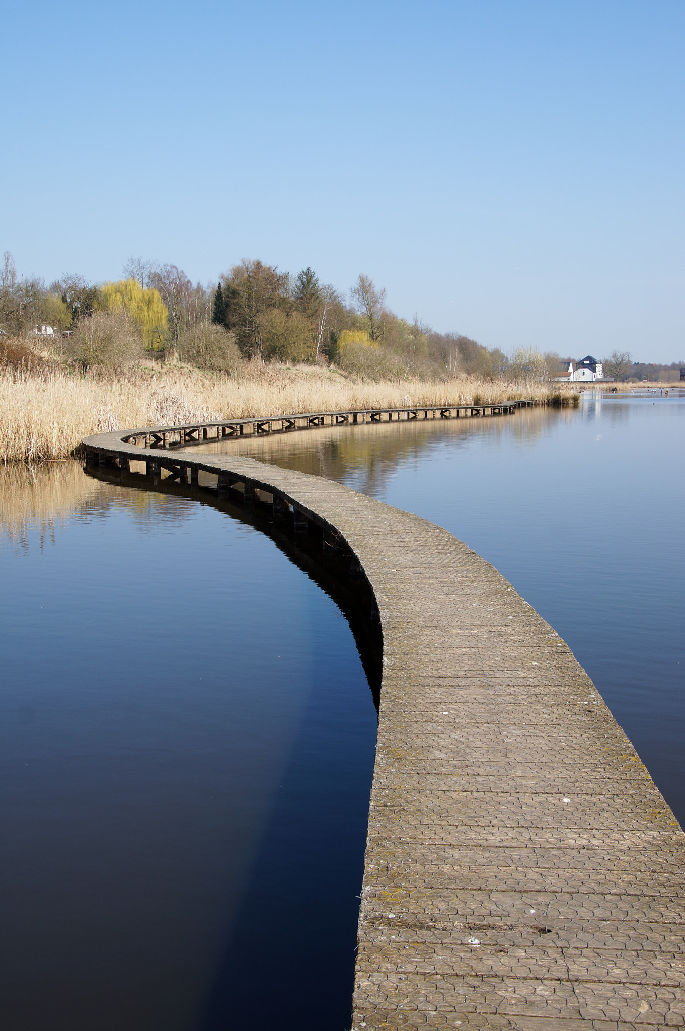 Tamron 16-300mm F3.5-6.3 Di II VC PZD Macro sample photo. Follow your own path photography