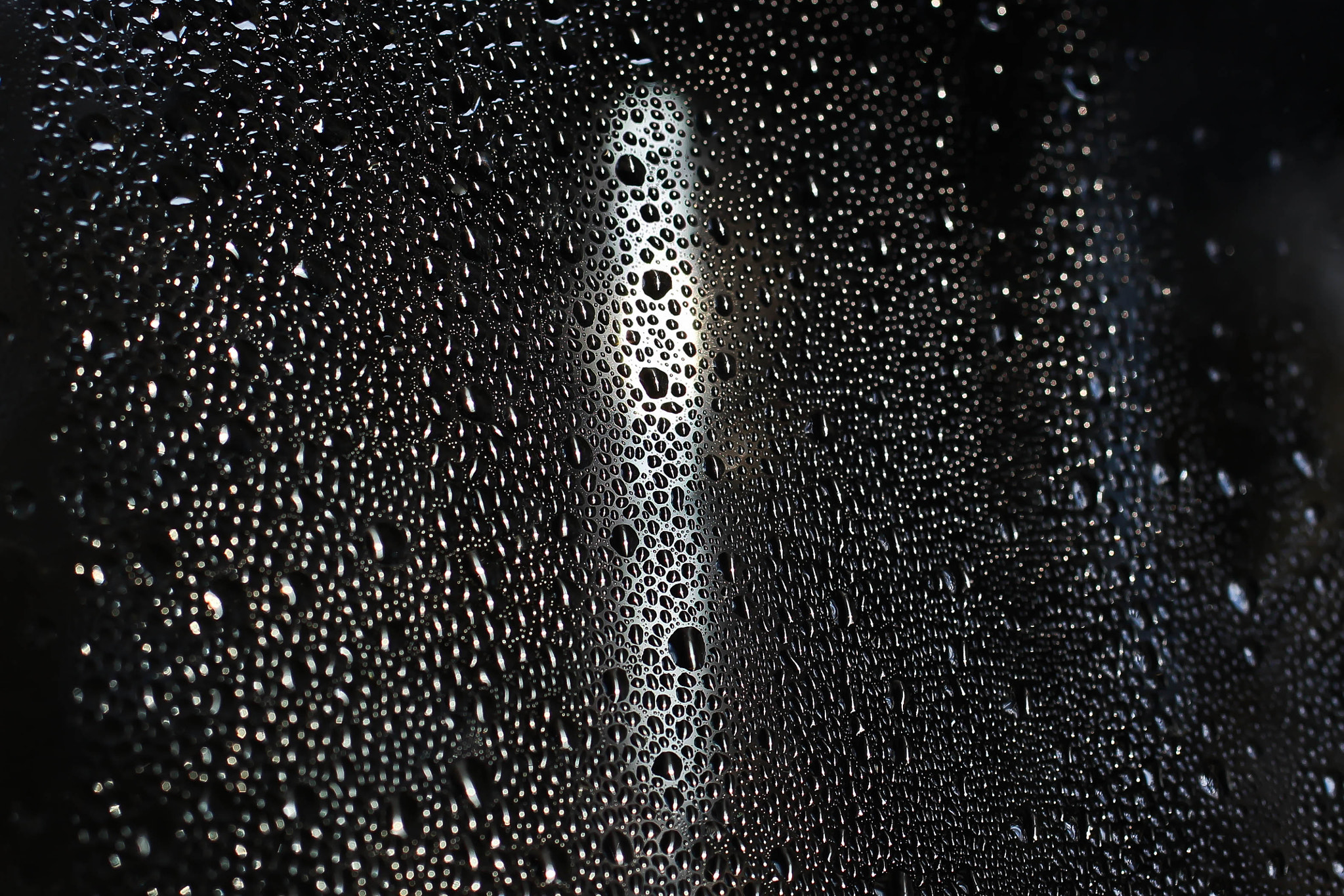 Canon EF 50mm F2.5 Macro sample photo. Raindrops photography