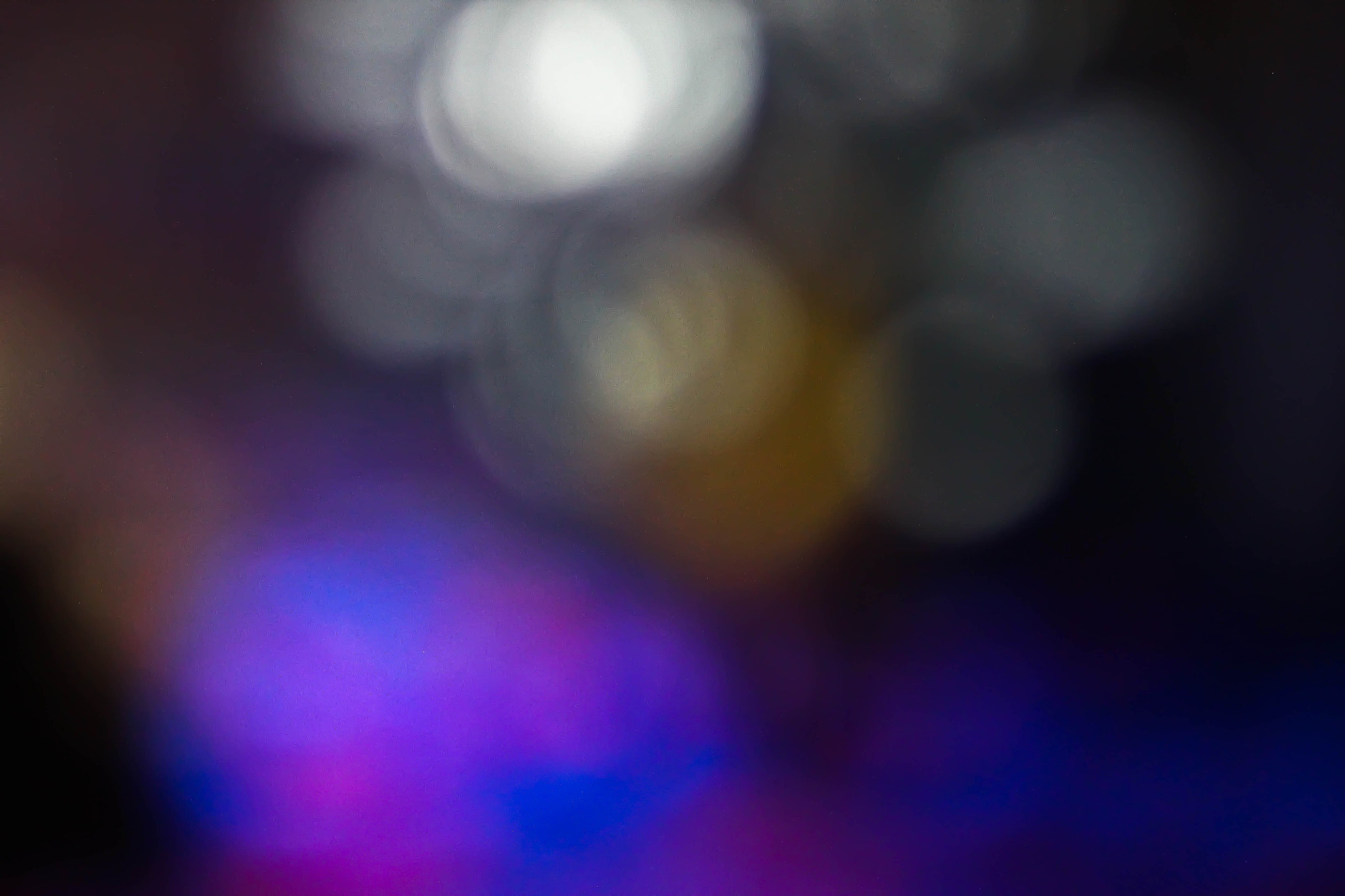 Canon EF 50mm F2.5 Macro sample photo. Abstract photography