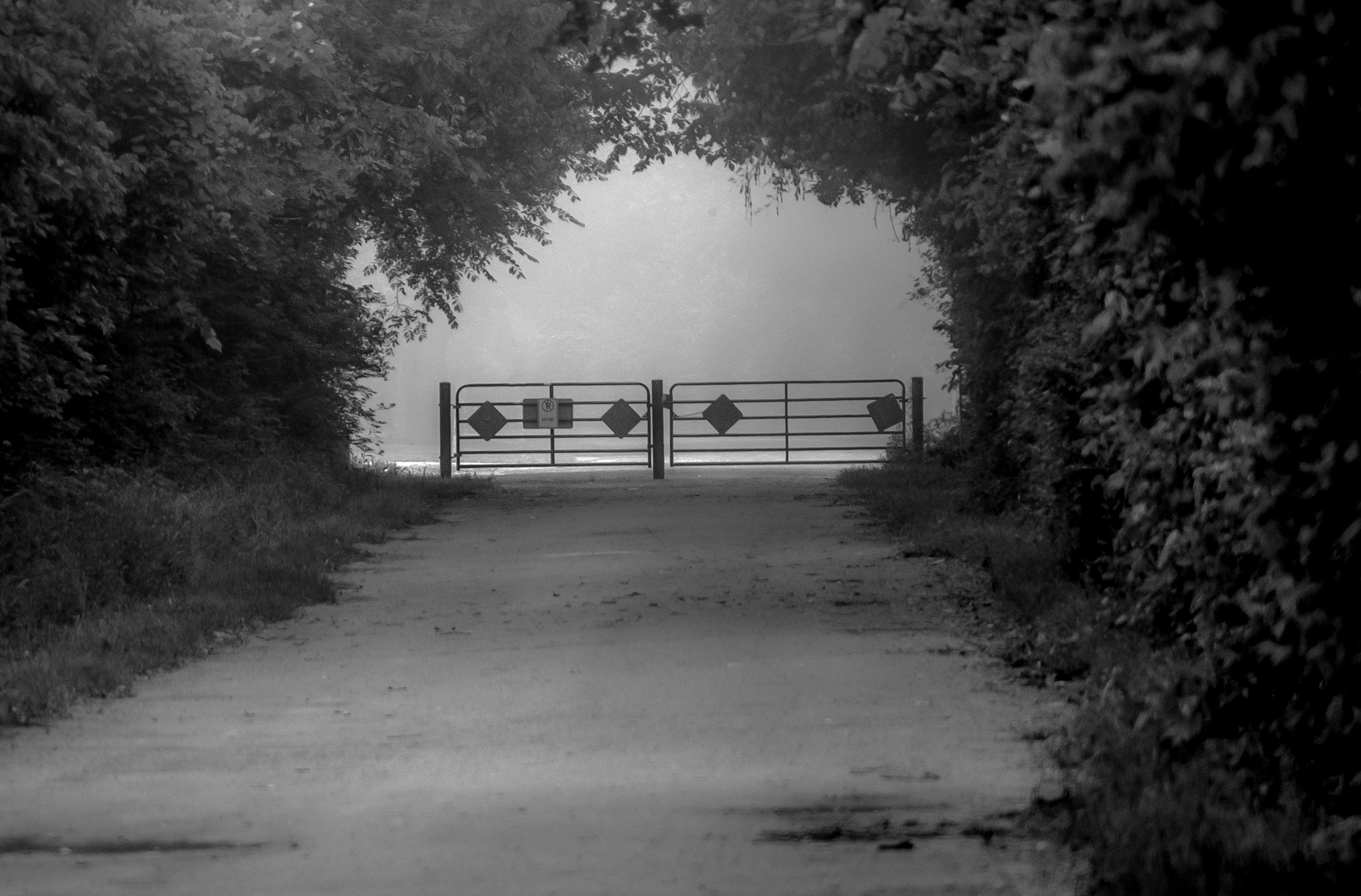 Pentax K100D sample photo. Holding back the fog photography