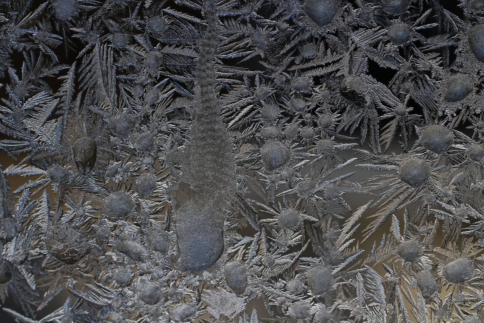 Canon EF 50mm F2.5 Macro sample photo. Ice crystals photography