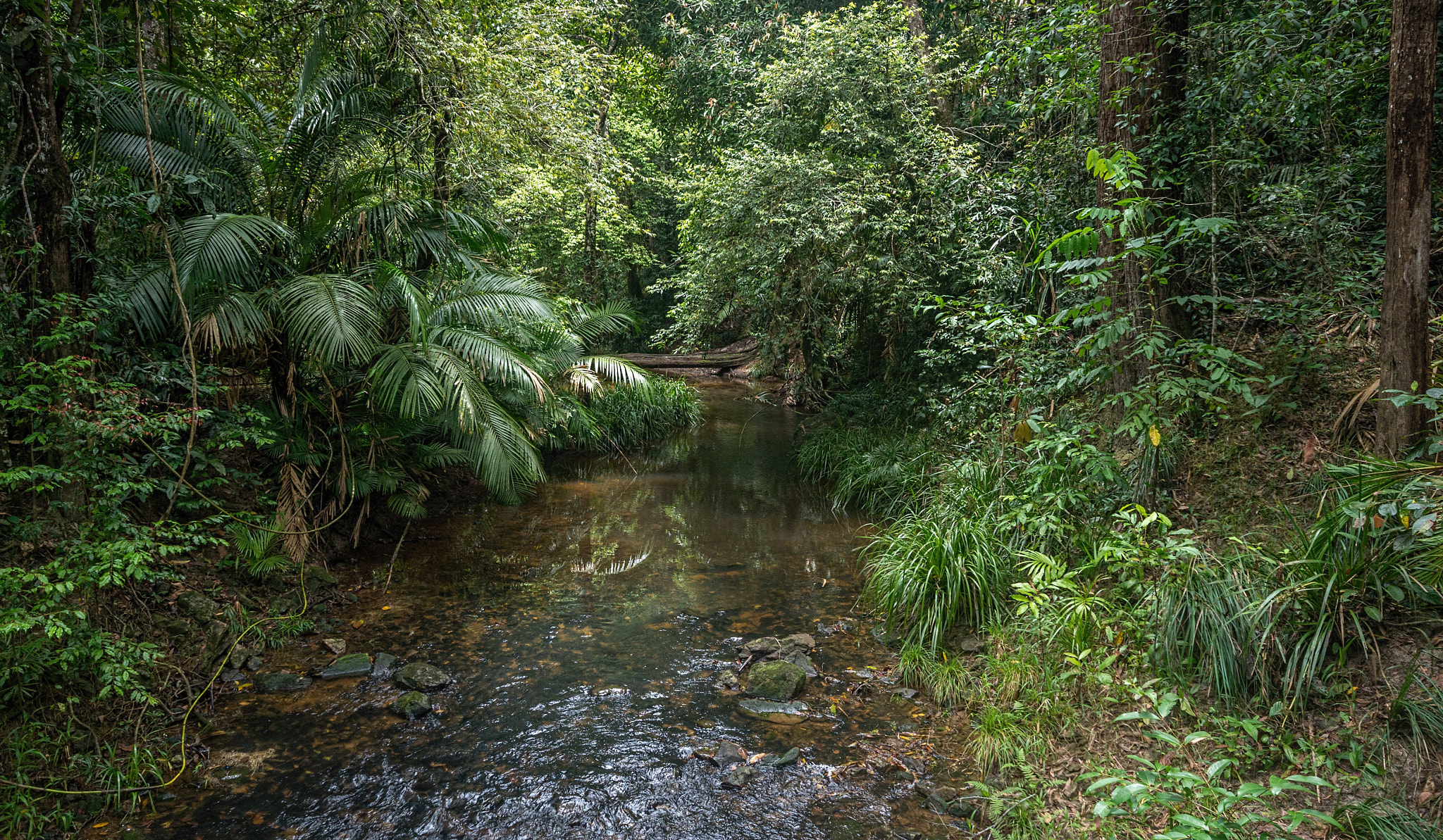 Sigma AF 10-20mm F4-5.6 EX DC sample photo. Hidden creek photography