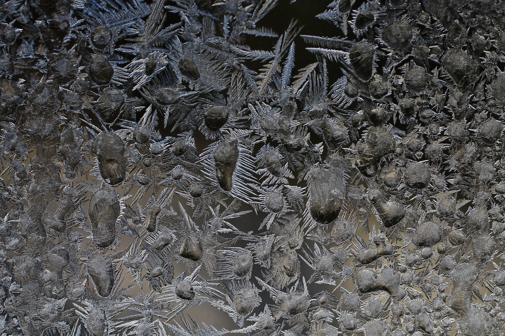 Canon EF 50mm F2.5 Macro sample photo. Ice crystals photography