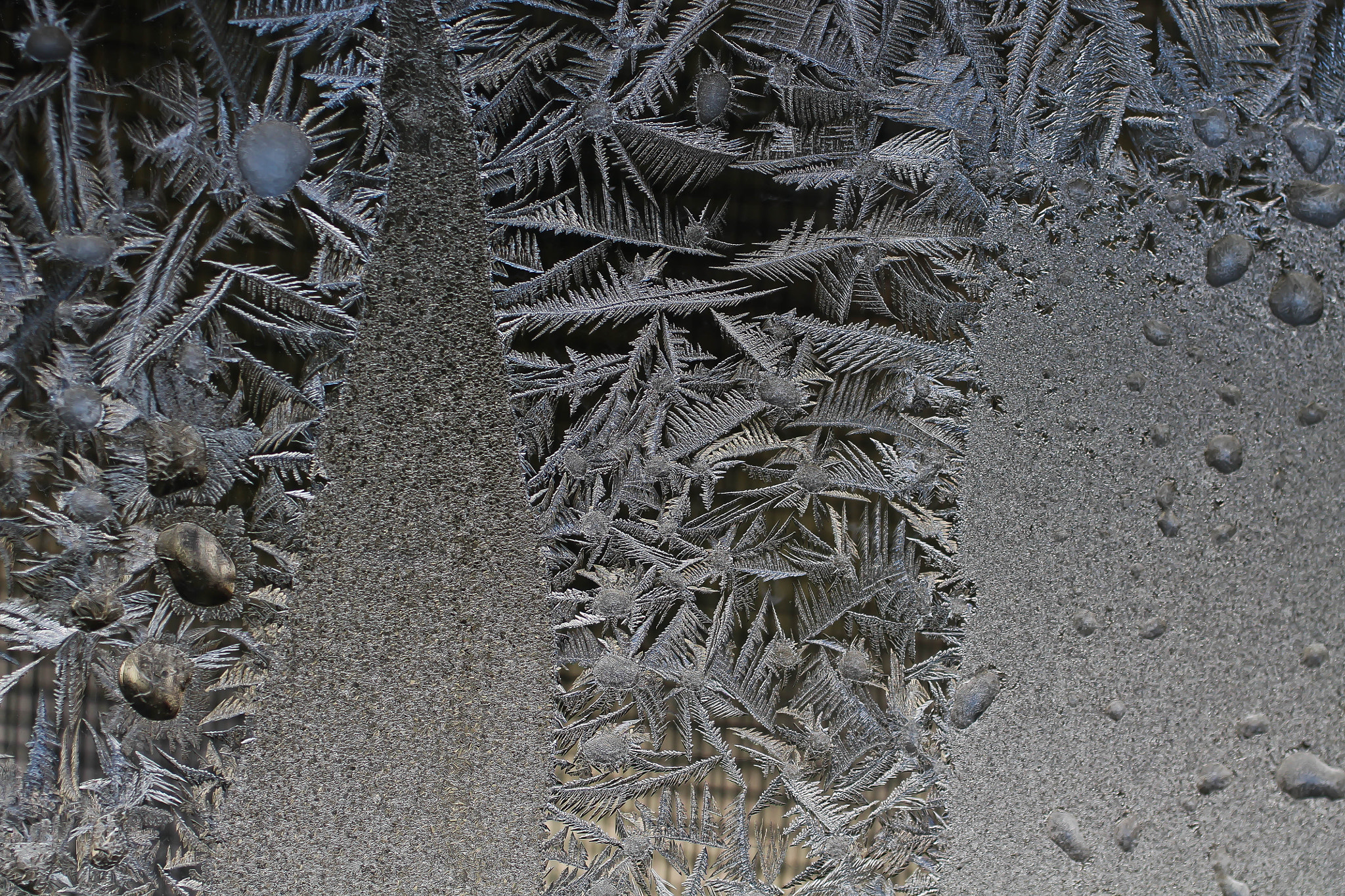 Canon EF 50mm F2.5 Macro sample photo. Ice crystals photography