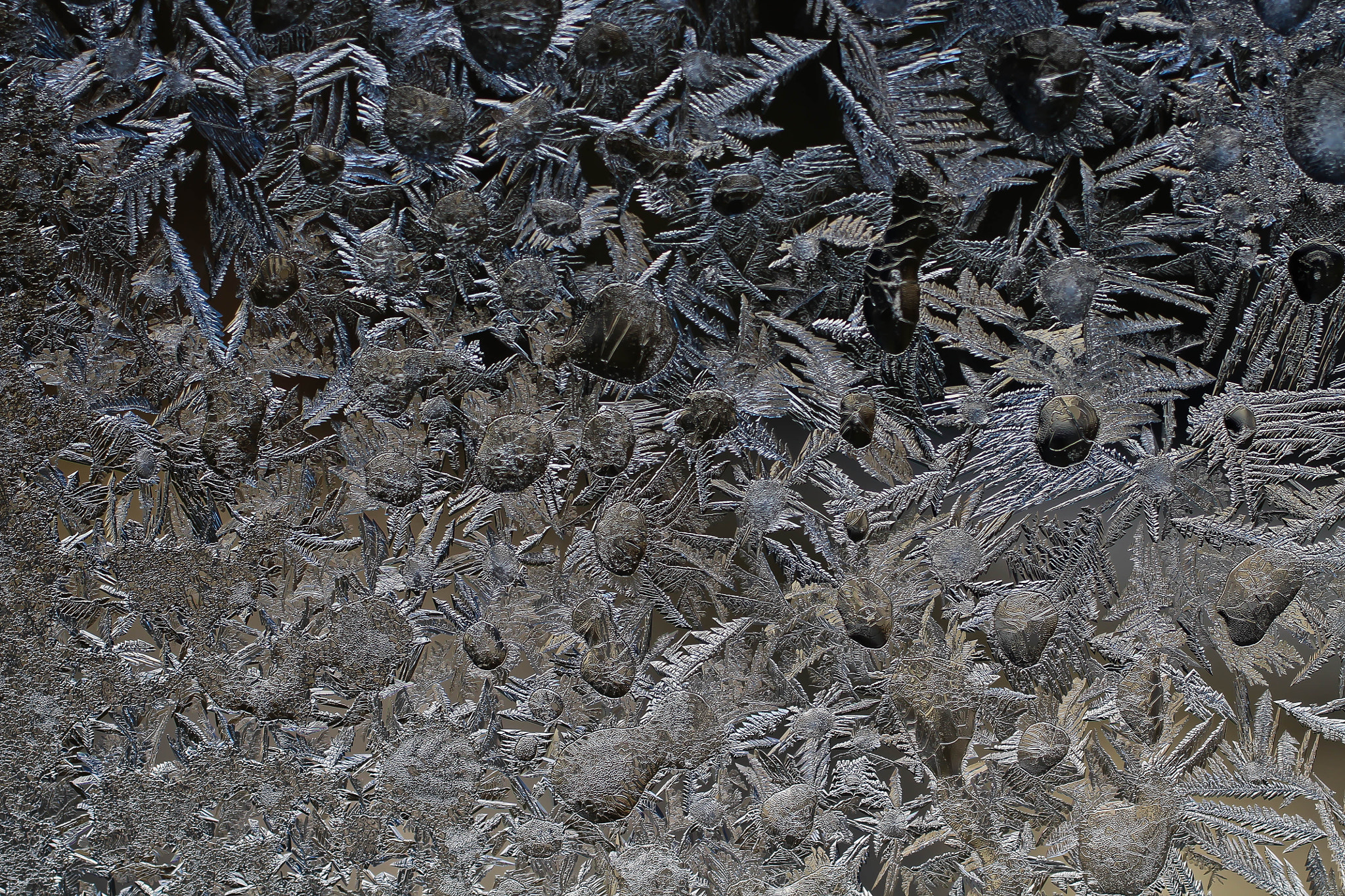 Canon EF 50mm F2.5 Macro sample photo. Ice crystals, photography
