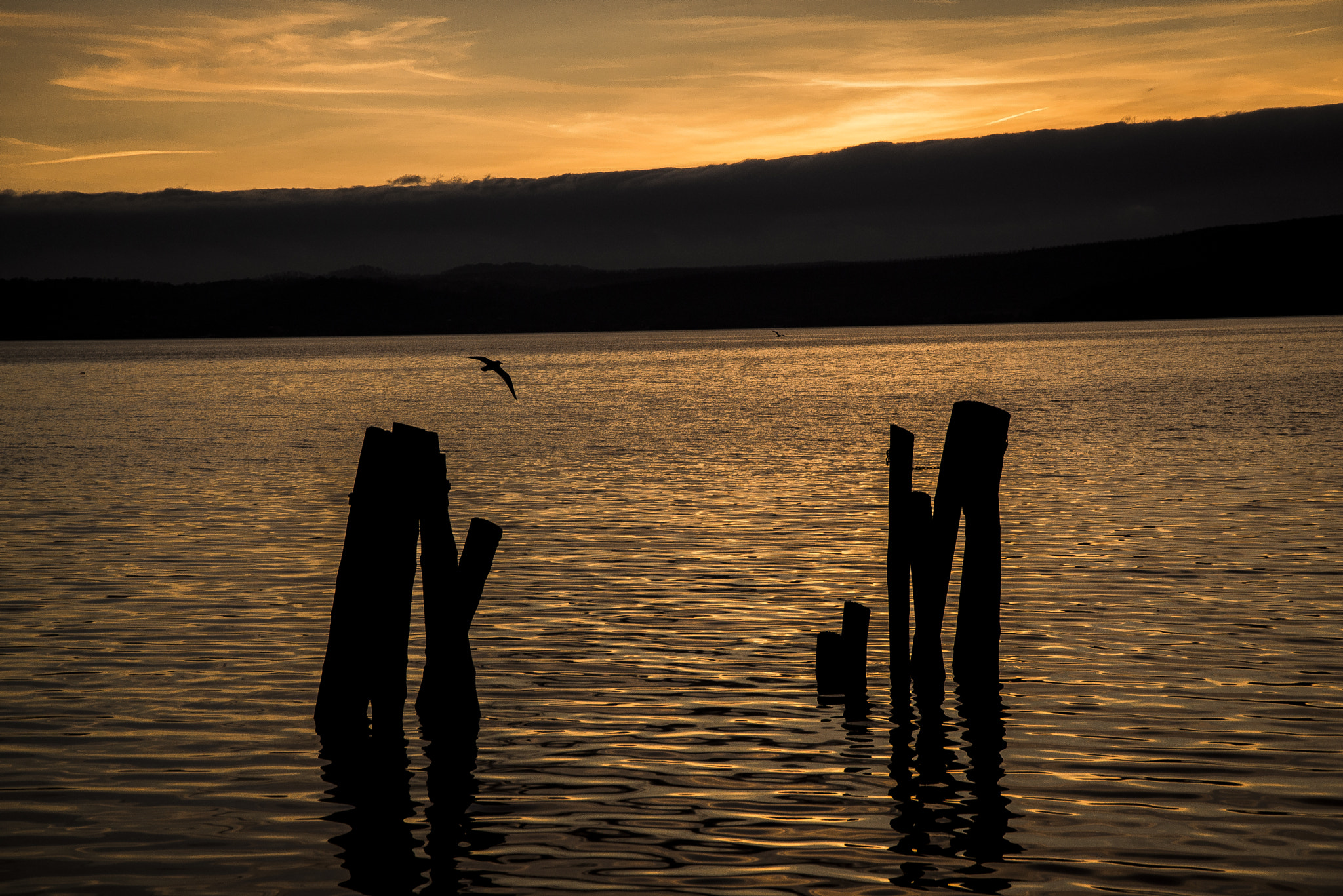 Nikon D600 sample photo. Sunset gold photography