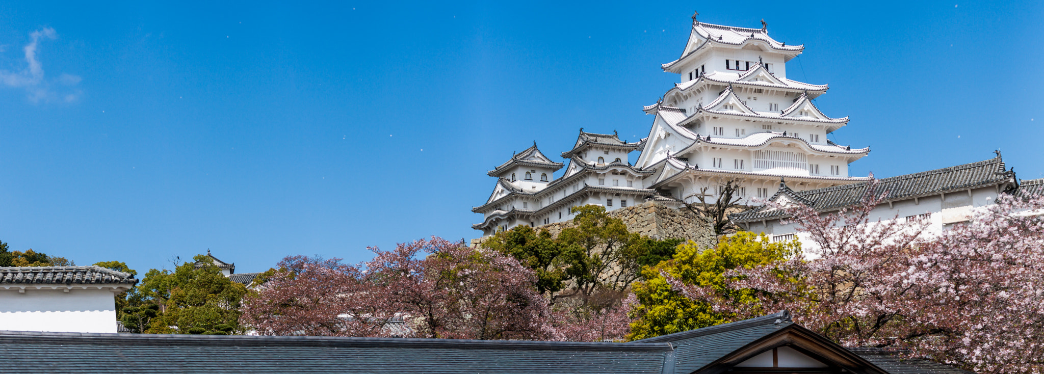 Canon EF 70-200mm F2.8L IS USM sample photo. Hanabi in himeji's castle photography