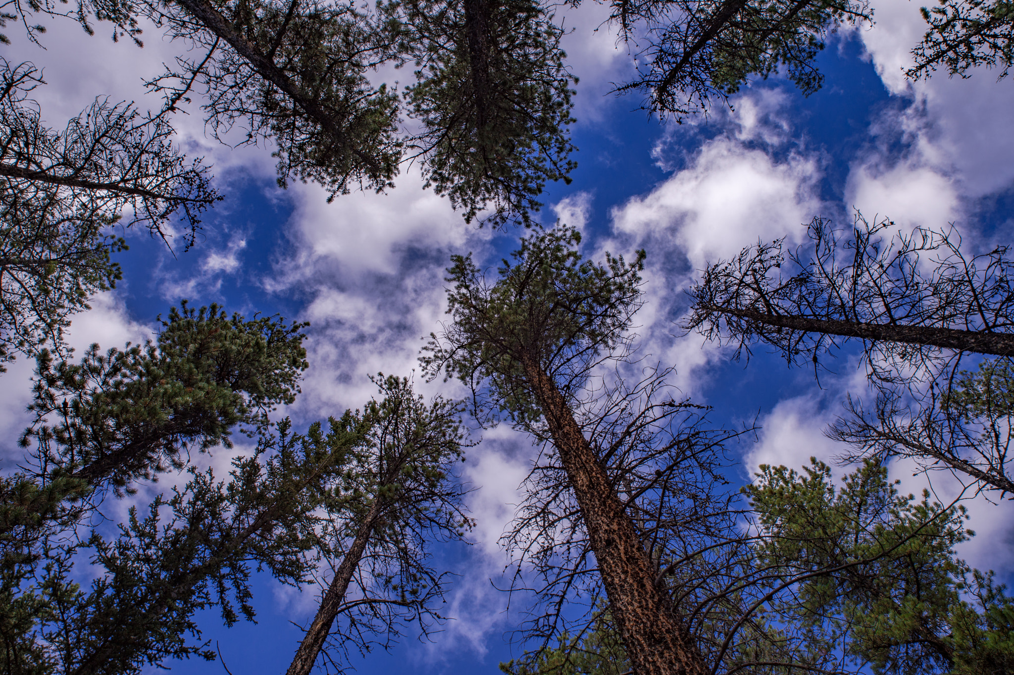 Nikon Df sample photo. Touching the clouds photography