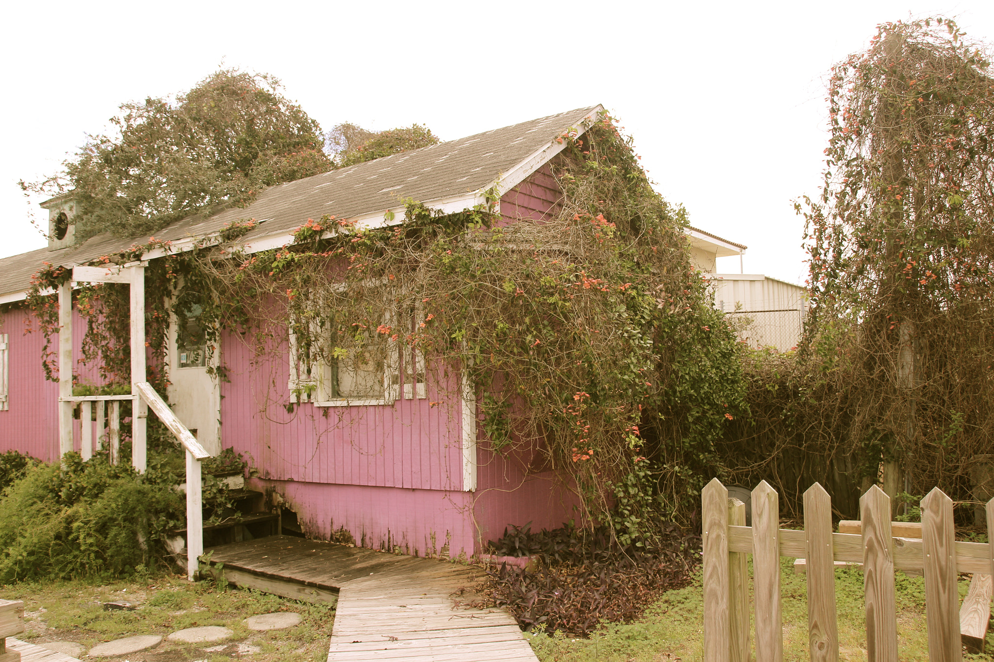 Sigma 18-250mm F3.5-6.3 DC OS HSM sample photo. Little pink house photography
