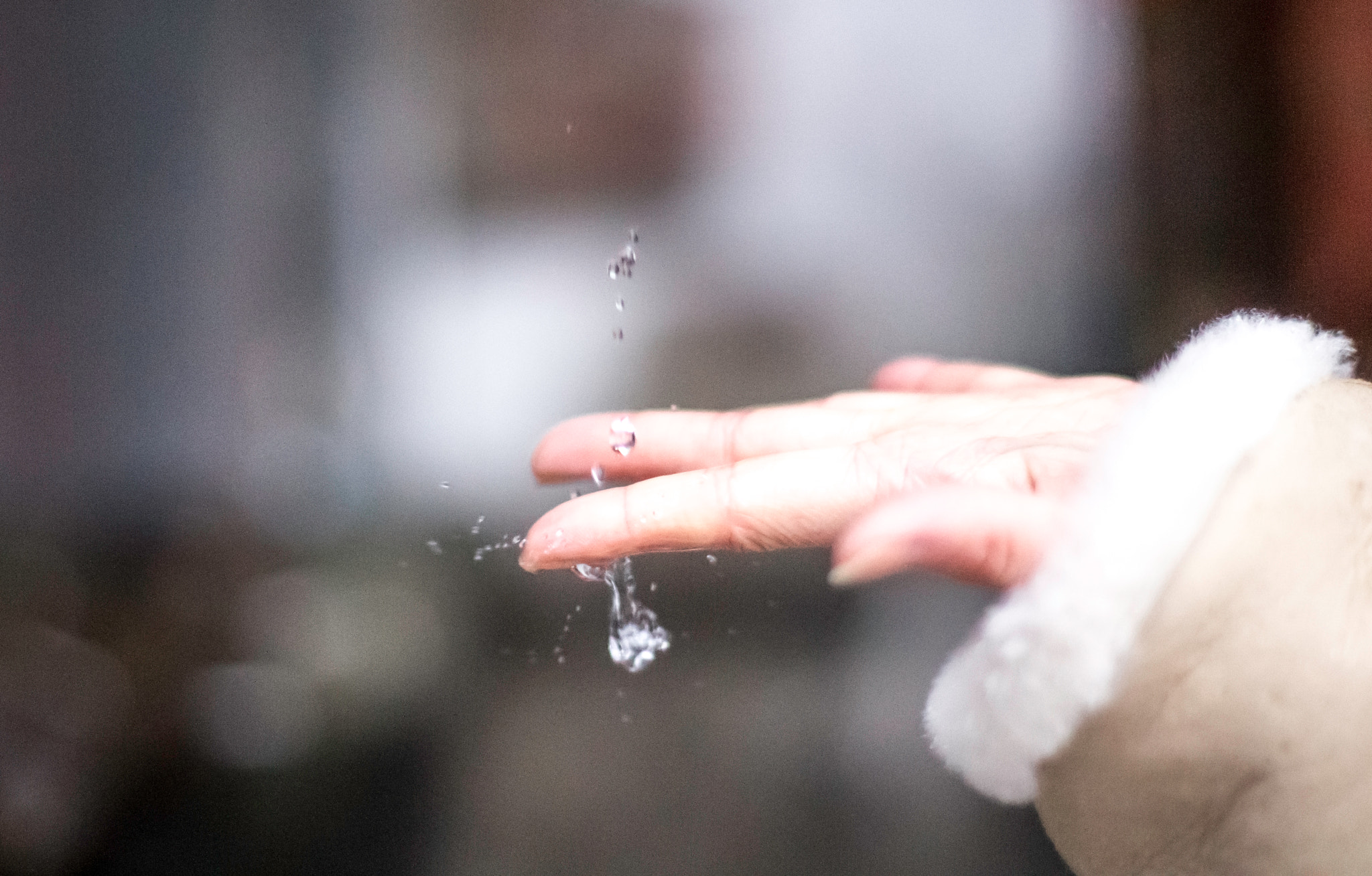 Sony Alpha DSLR-A500 + Sony 50mm F1.4 sample photo. Gentle catch photography