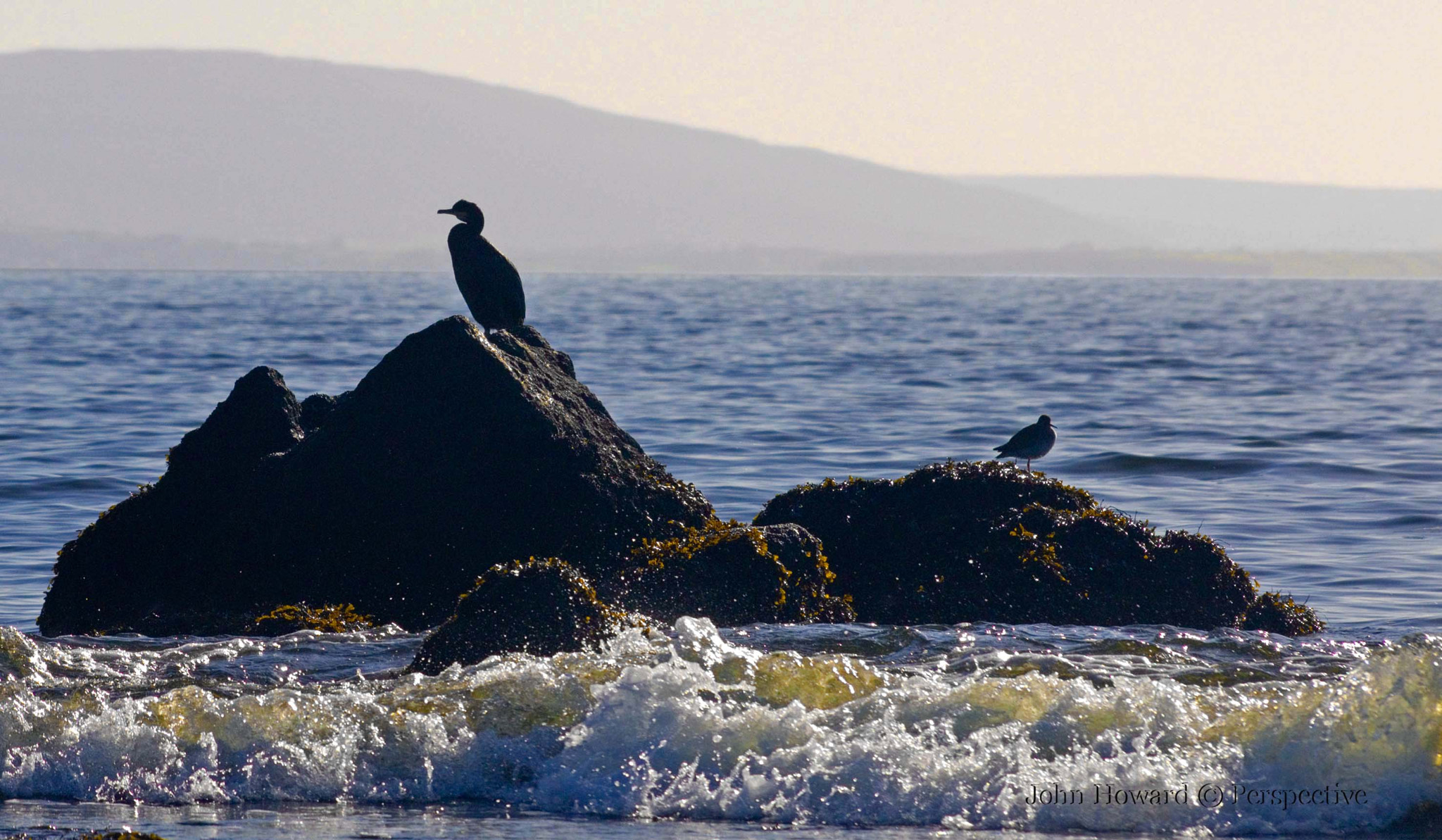 Sigma 70-300mm F4-5.6 APO DG Macro sample photo. "shag on a rock" photography