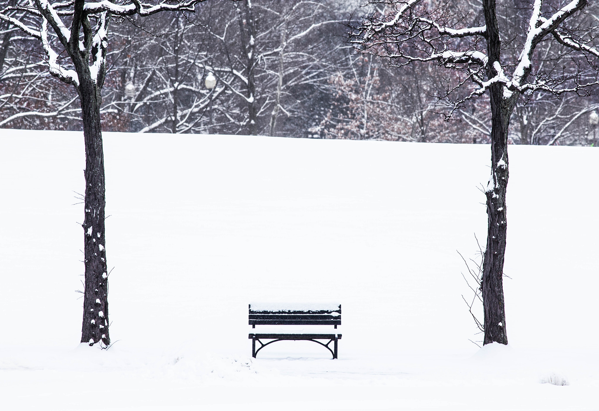 Canon EOS 6D + Canon EF 400mm F5.6L USM sample photo. Snow in national mall photography