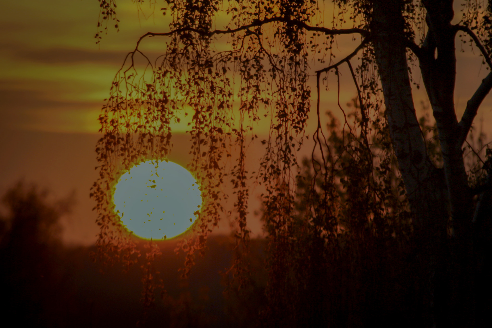 Canon EF 70-300mm F4-5.6 IS USM sample photo. Untitled photography