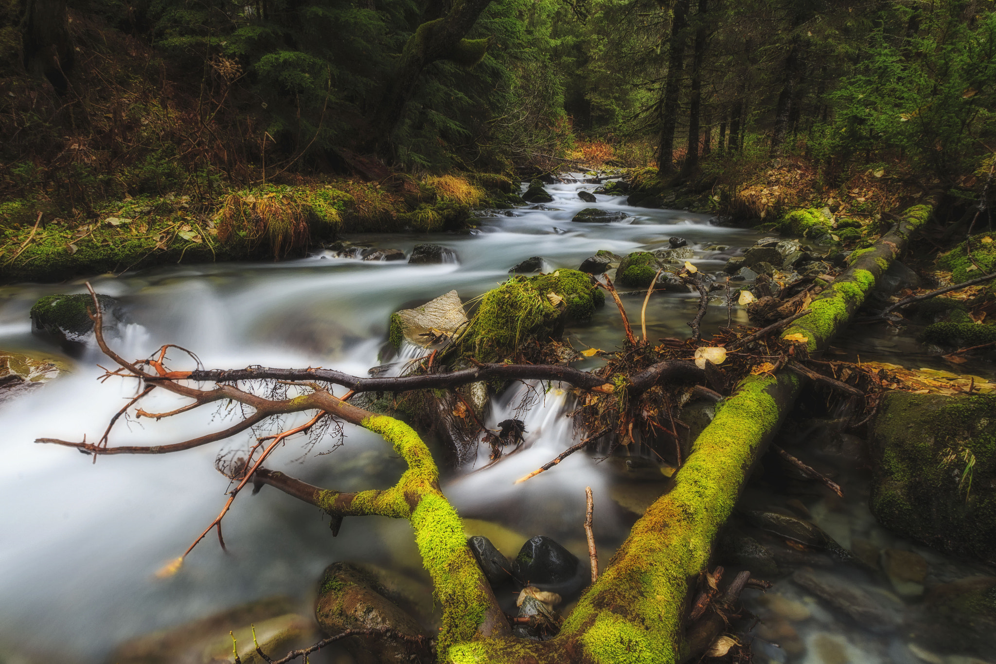 Sigma 10-20mm F3.5 EX DC HSM sample photo. Virgin creek photography