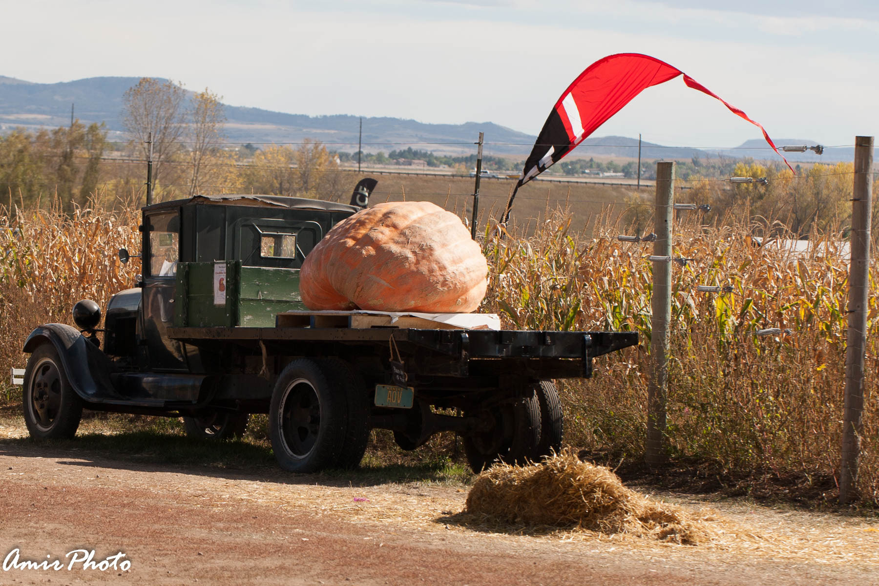 Canon EOS-1D Mark III sample photo. 2015-10-18 corn haze photography