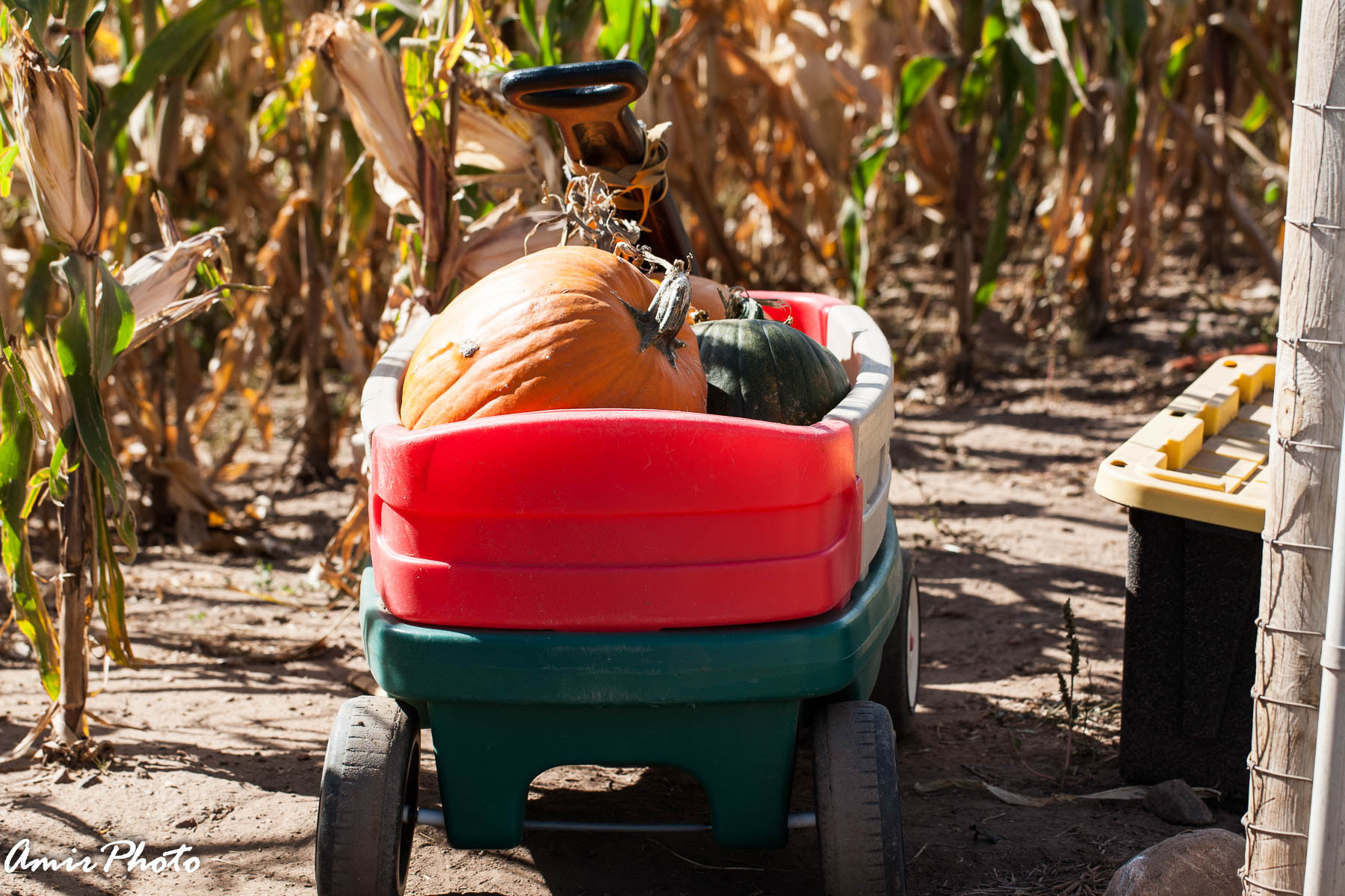 Canon EOS-1D Mark III sample photo. 2015-10-18 corn haze photography