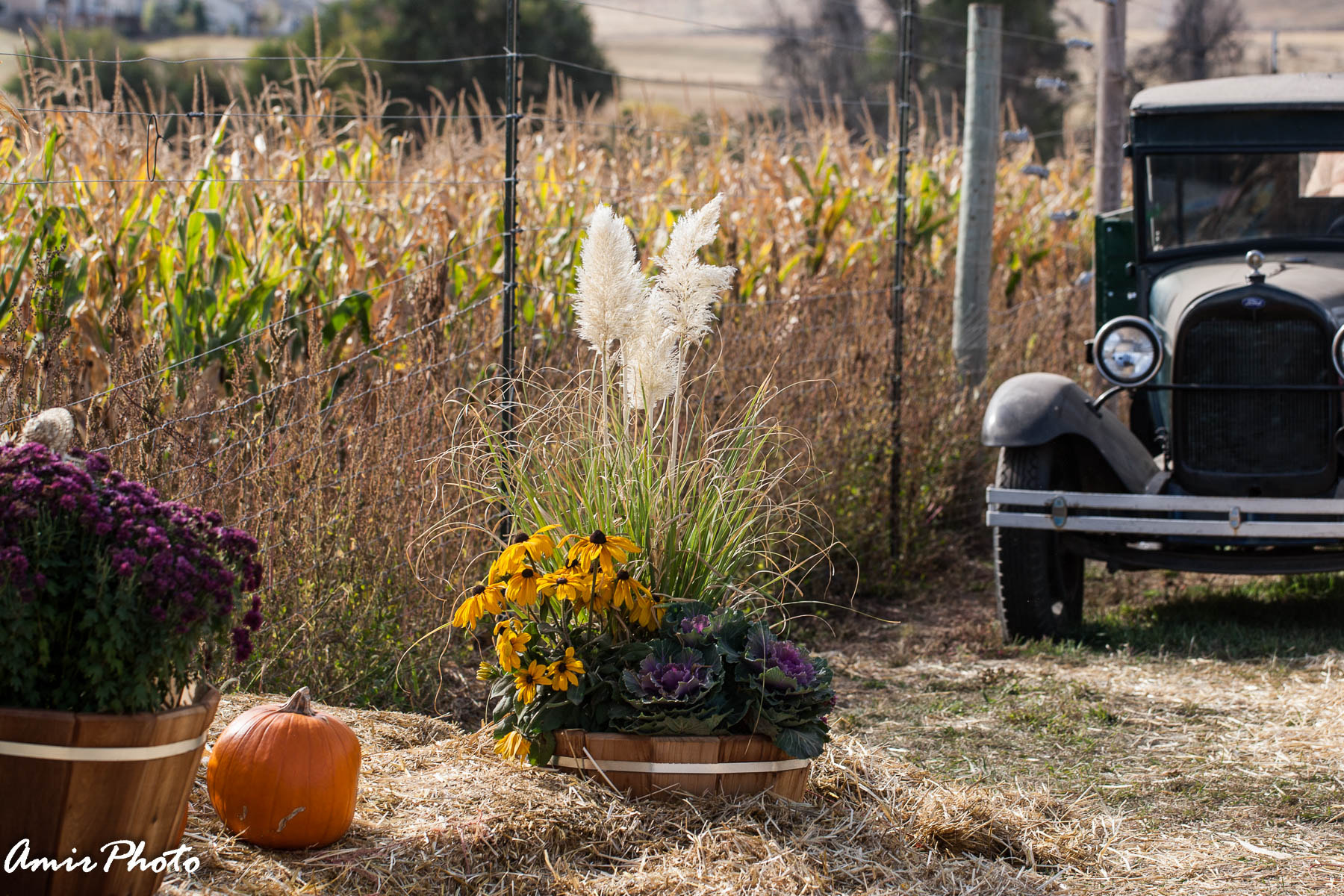 Canon EOS-1D Mark III sample photo. 2015-10-18 corn haze photography