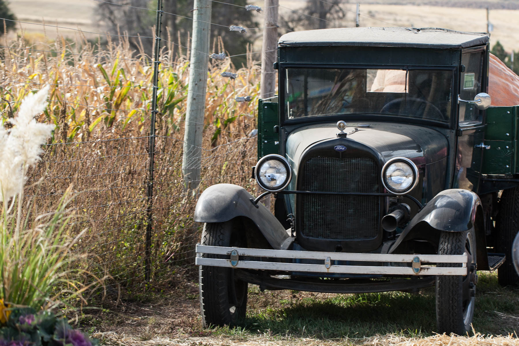 Canon EOS-1D Mark III sample photo. 2015-10-18 corn haze photography
