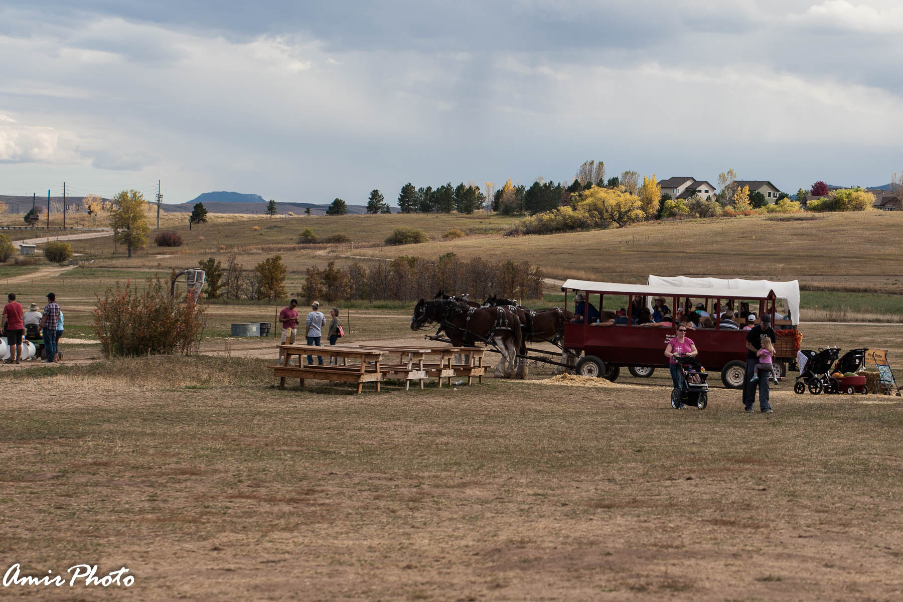 Canon EOS-1D Mark III sample photo. 2015-10-18 corn haze photography