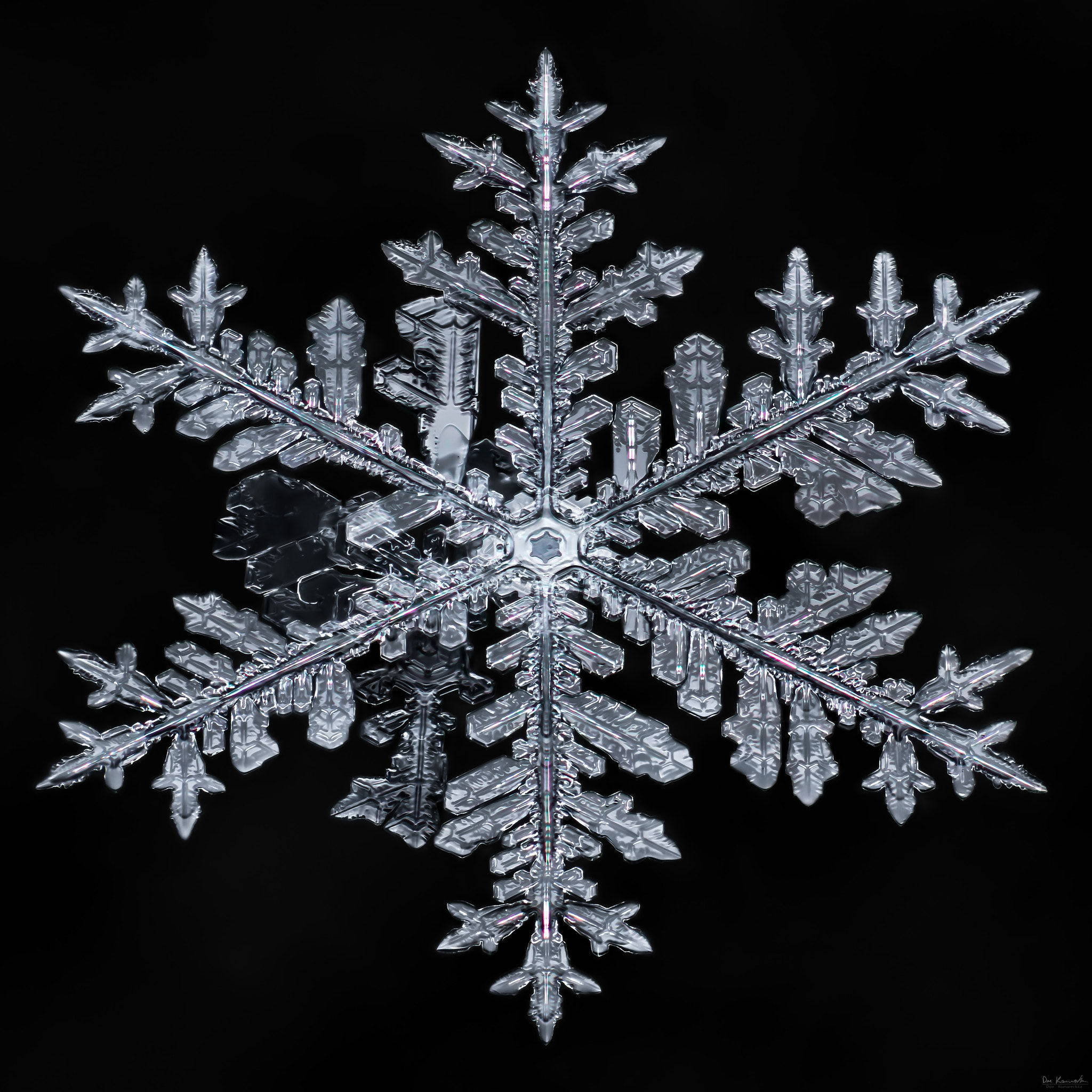 Canon MP-E 65mm F2.5 1-5x Macro Photo sample photo. Snowflake-a-day no. 78 photography