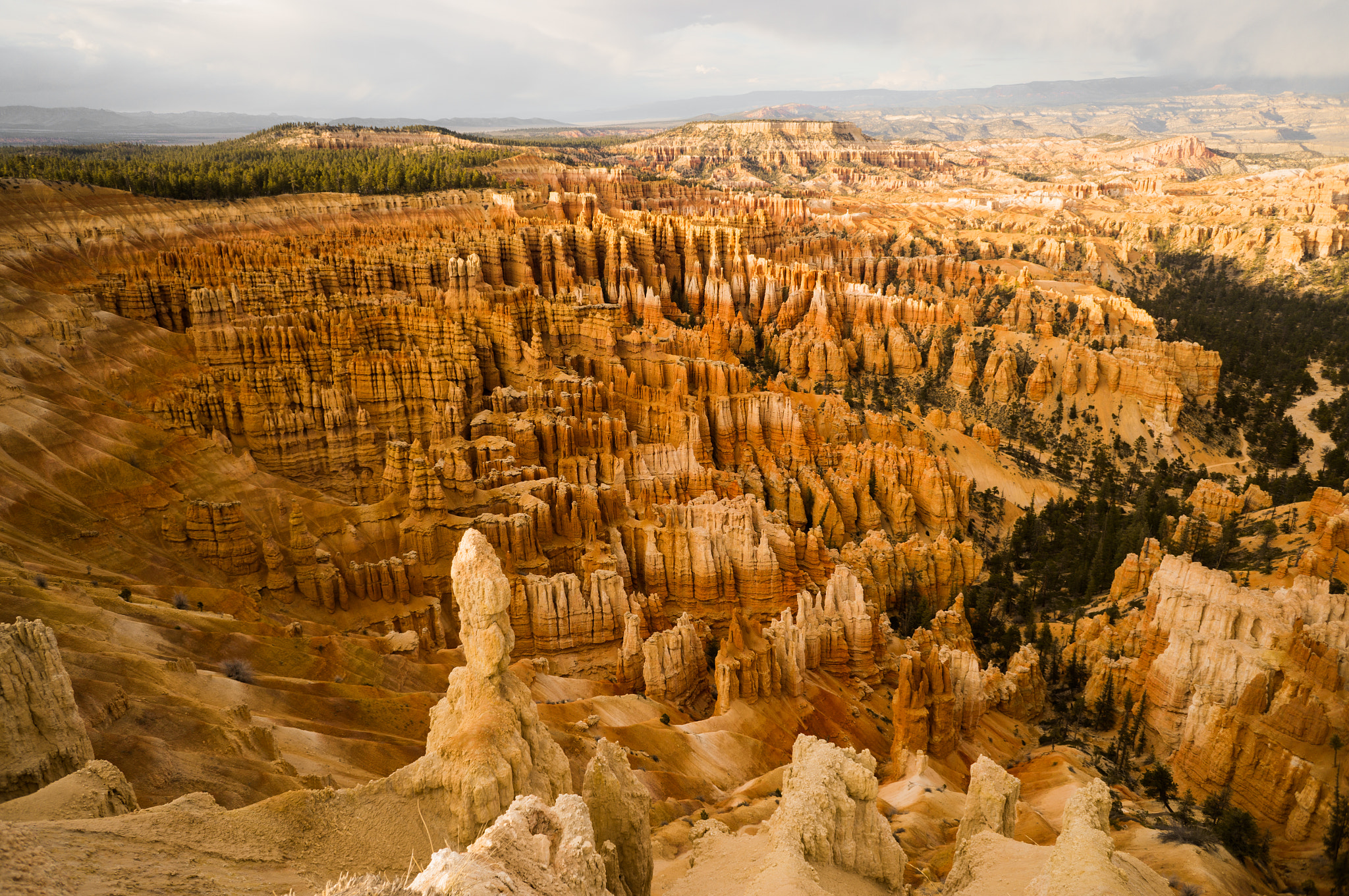 Sony Alpha NEX-6 + Sony E 16mm F2.8 sample photo. Bryce canyon photography