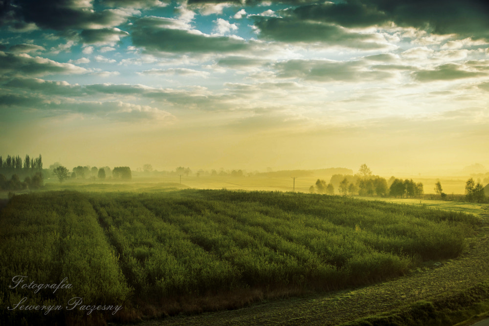 Sigma 18-125mm F3.8-5.6 DC OS HSM sample photo. About dawn photography