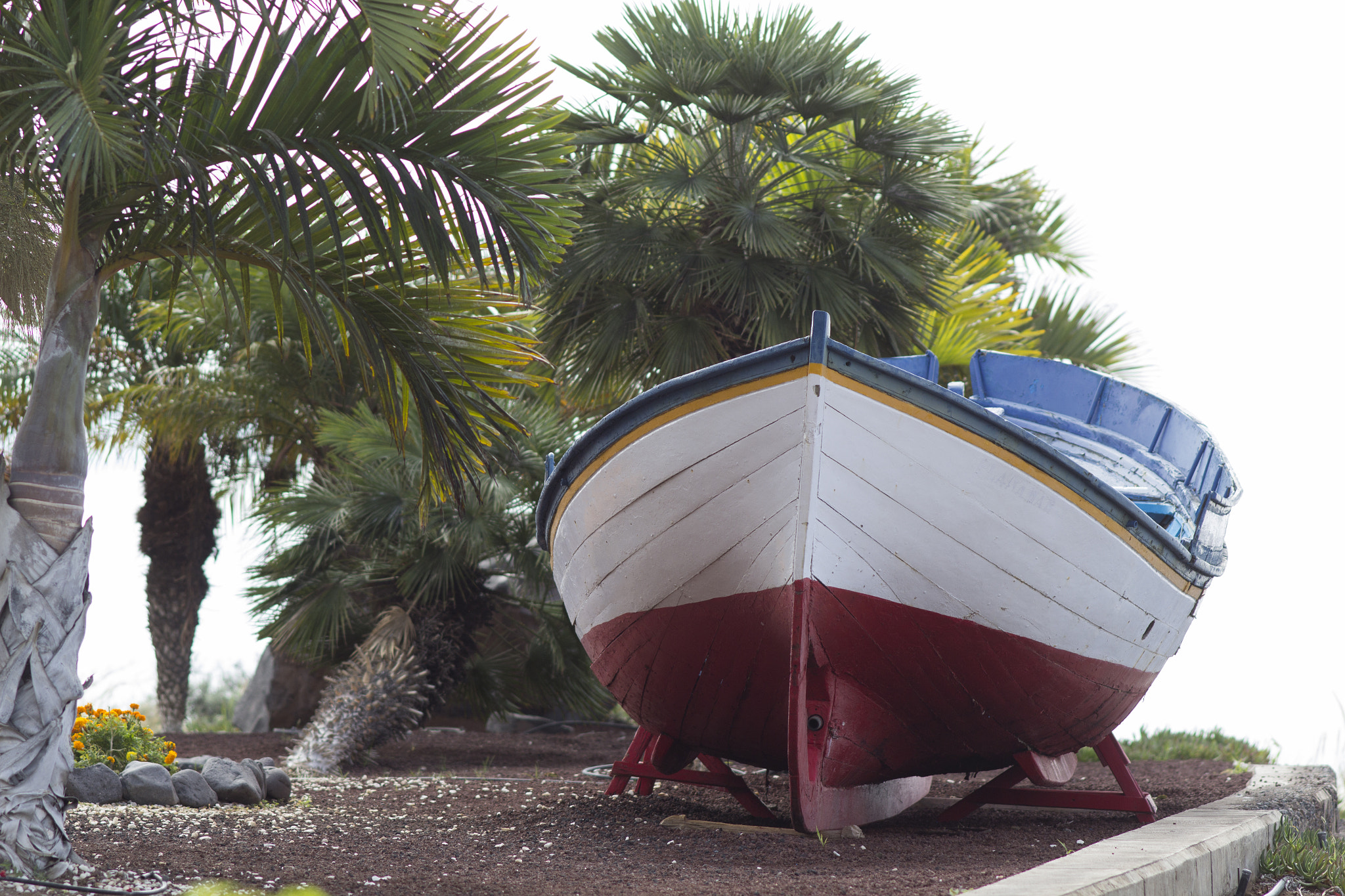 Canon EOS 600D (Rebel EOS T3i / EOS Kiss X5) + Canon EF 200mm F2.8L II USM sample photo. Los gigantes photography