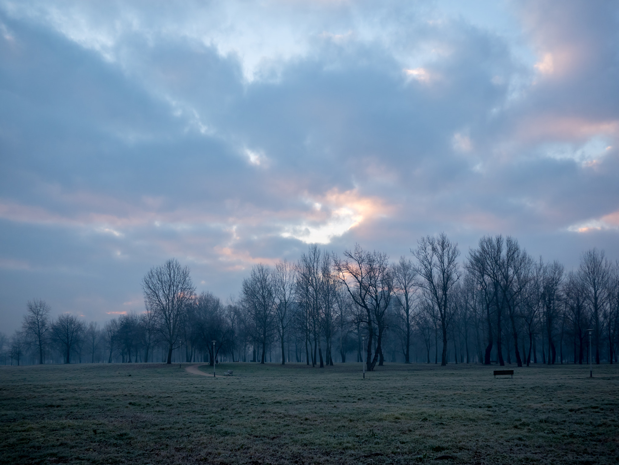 Panasonic Lumix DMC-GX7 + Panasonic Lumix G 14mm F2.5 ASPH sample photo. Early morning frost photography