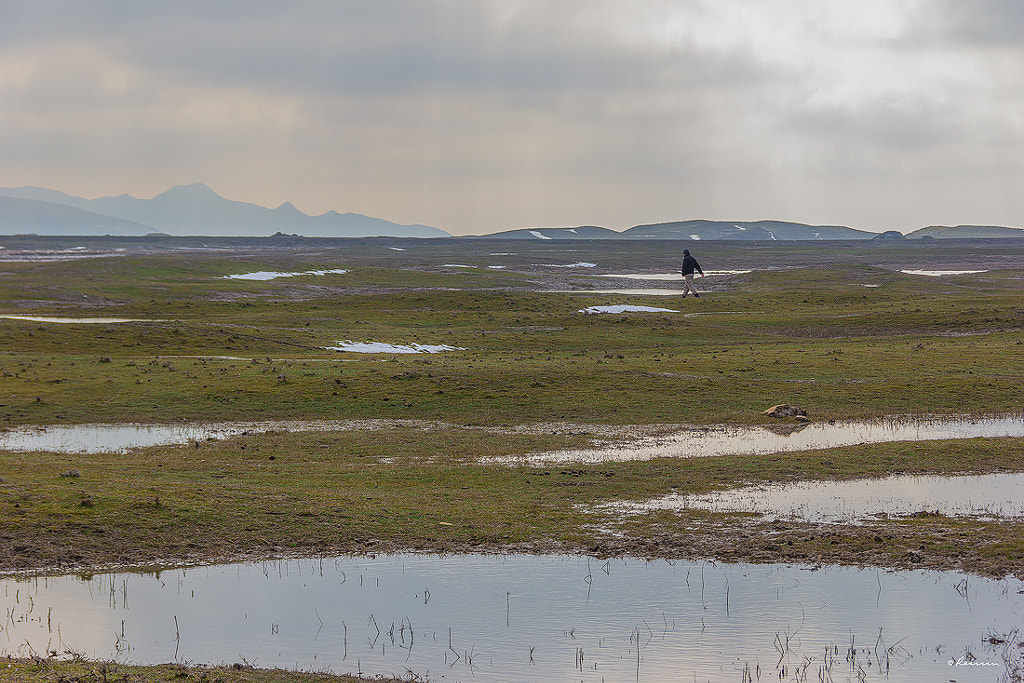 Love of life by Ramin Həsənəlizadə on 500px.com