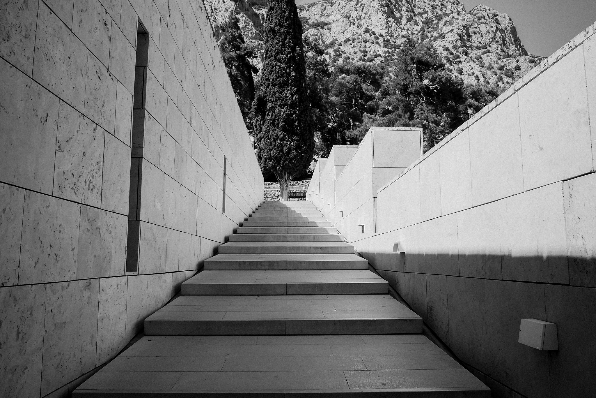 Olympus OM-D E-M10 sample photo. Stairway to heaven photography