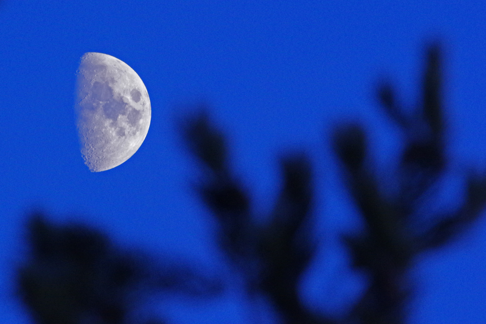Sigma 120-400mm F4.5-5.6 DG OS HSM sample photo. Keep on posing photography