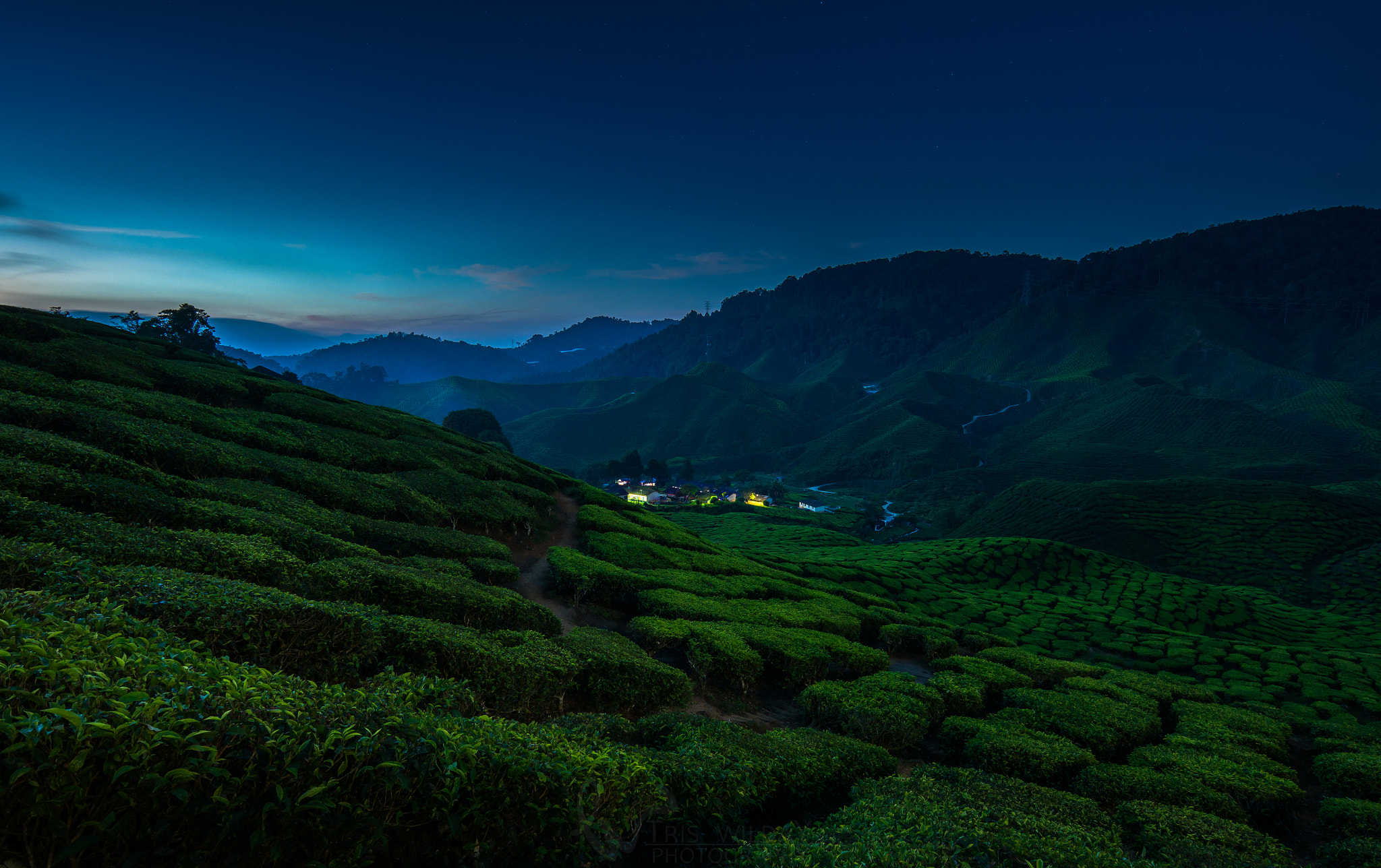 Samsung NX300 + Samsung NX 12-24mm F4-5.6 ED sample photo. Cameron highlands blue hour photography