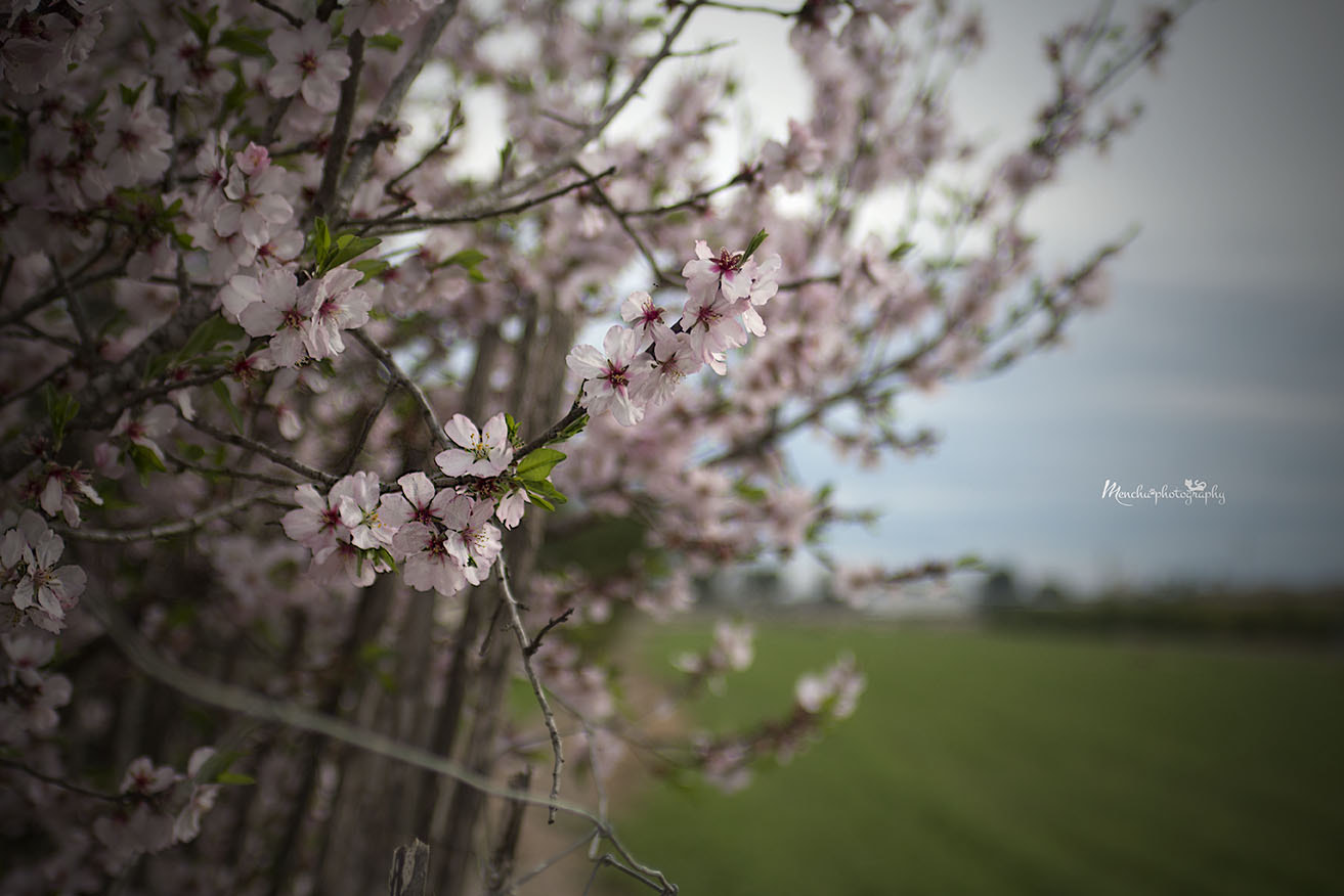 EF28-70mm f/2.8L USM sample photo. Natural life photography
