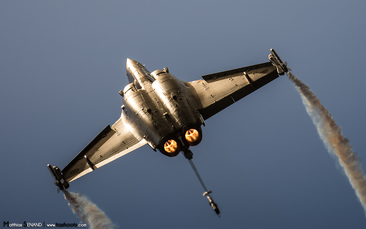Sony ILCA-77M2 + Sony 70-400mm F4-5.6 G SSM sample photo. Golden rafale photography