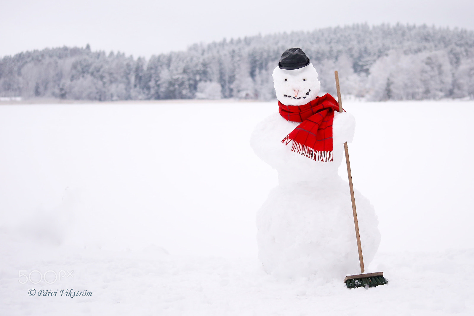 Canon EOS 6D + Sigma 17-70mm F2.8-4 DC Macro OS HSM sample photo. Greetings from snowman :d photography
