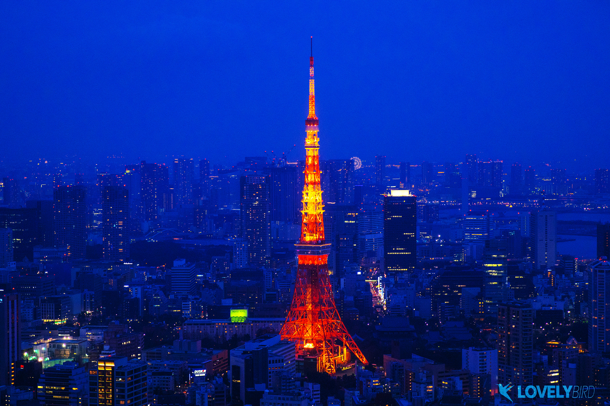 Sony a7R sample photo. Tokyo tower photography