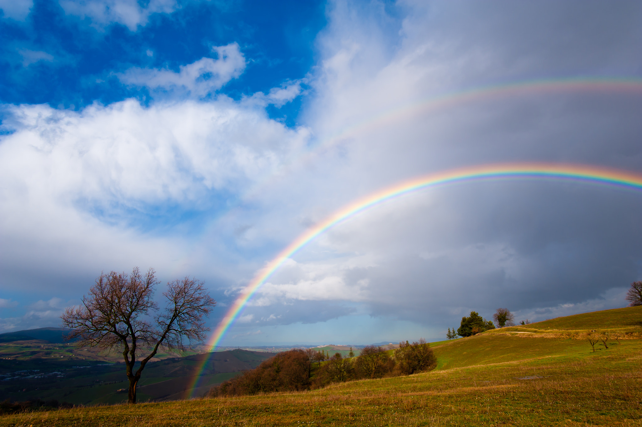 Nikon D700 + Nikon AF-S Nikkor 20mm F1.8G ED sample photo. Doppio arcobaleno con albero photography