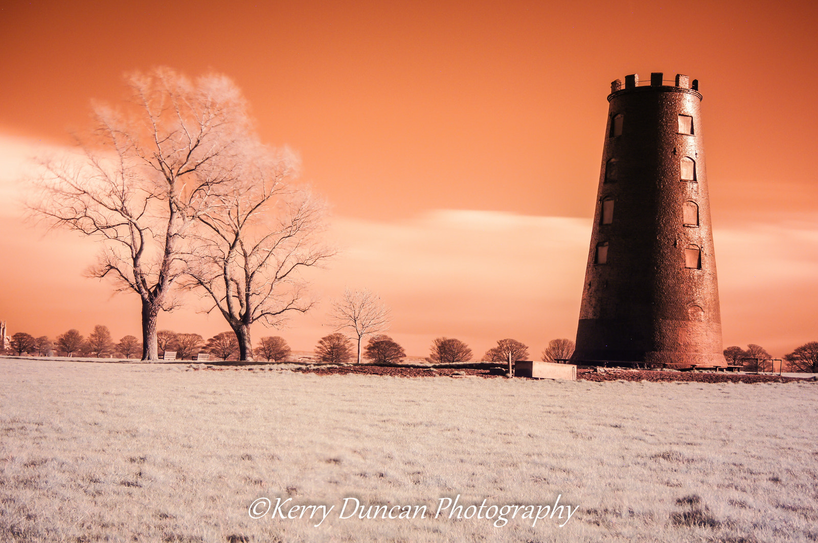 Sony Alpha DSLR-A580 + Sony DT 30mm F2.8 Macro SAM sample photo. Black mill in copper photography