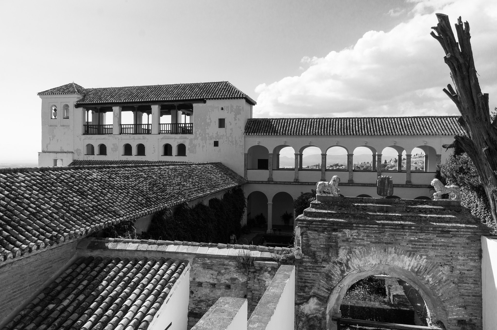 Sony Alpha NEX-F3 + Sony E 10-18mm F4 OSS sample photo. Alhambra. photography