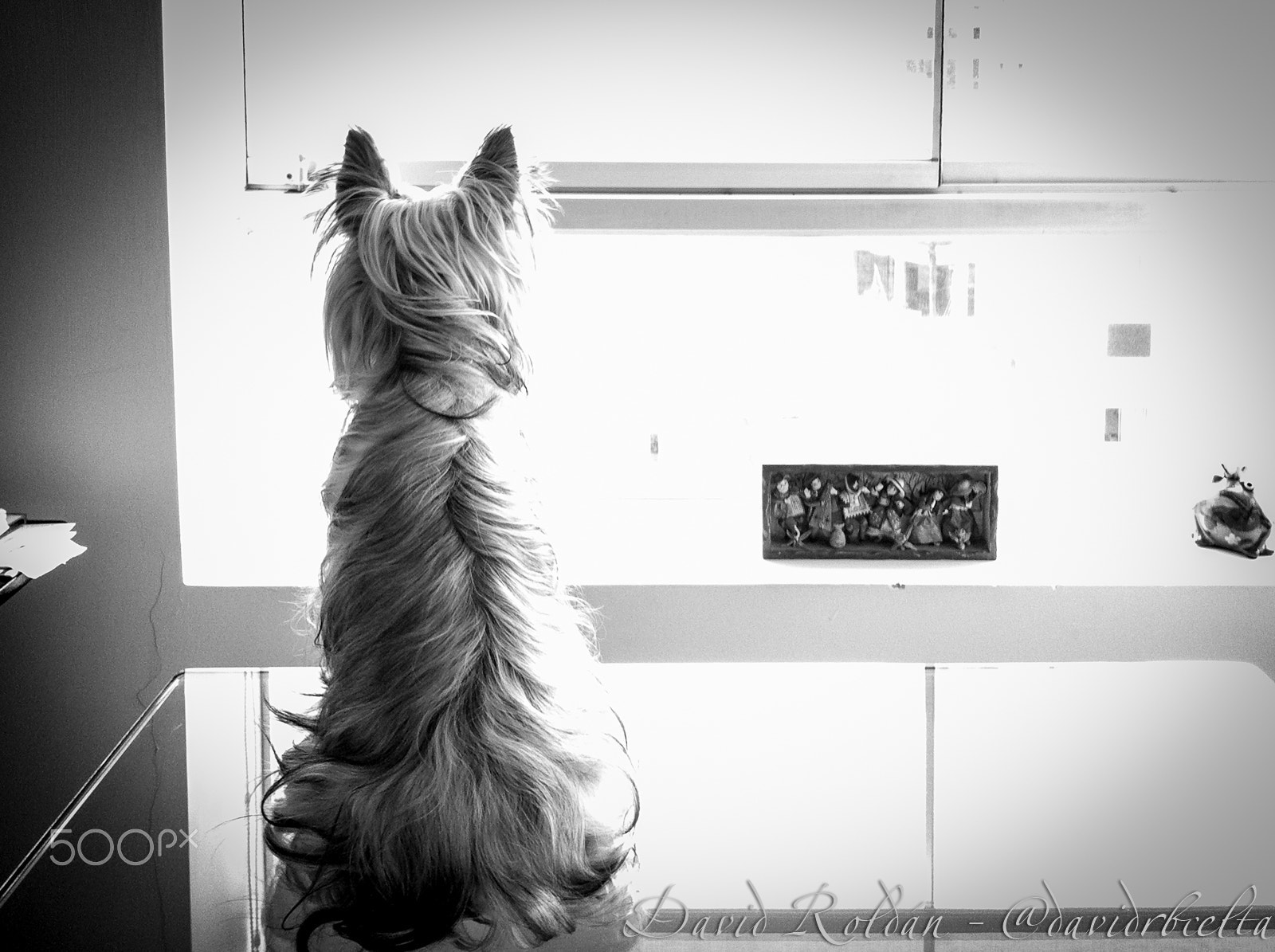 Jag.gr 645 PRO for iPhone sample photo. El observador photography